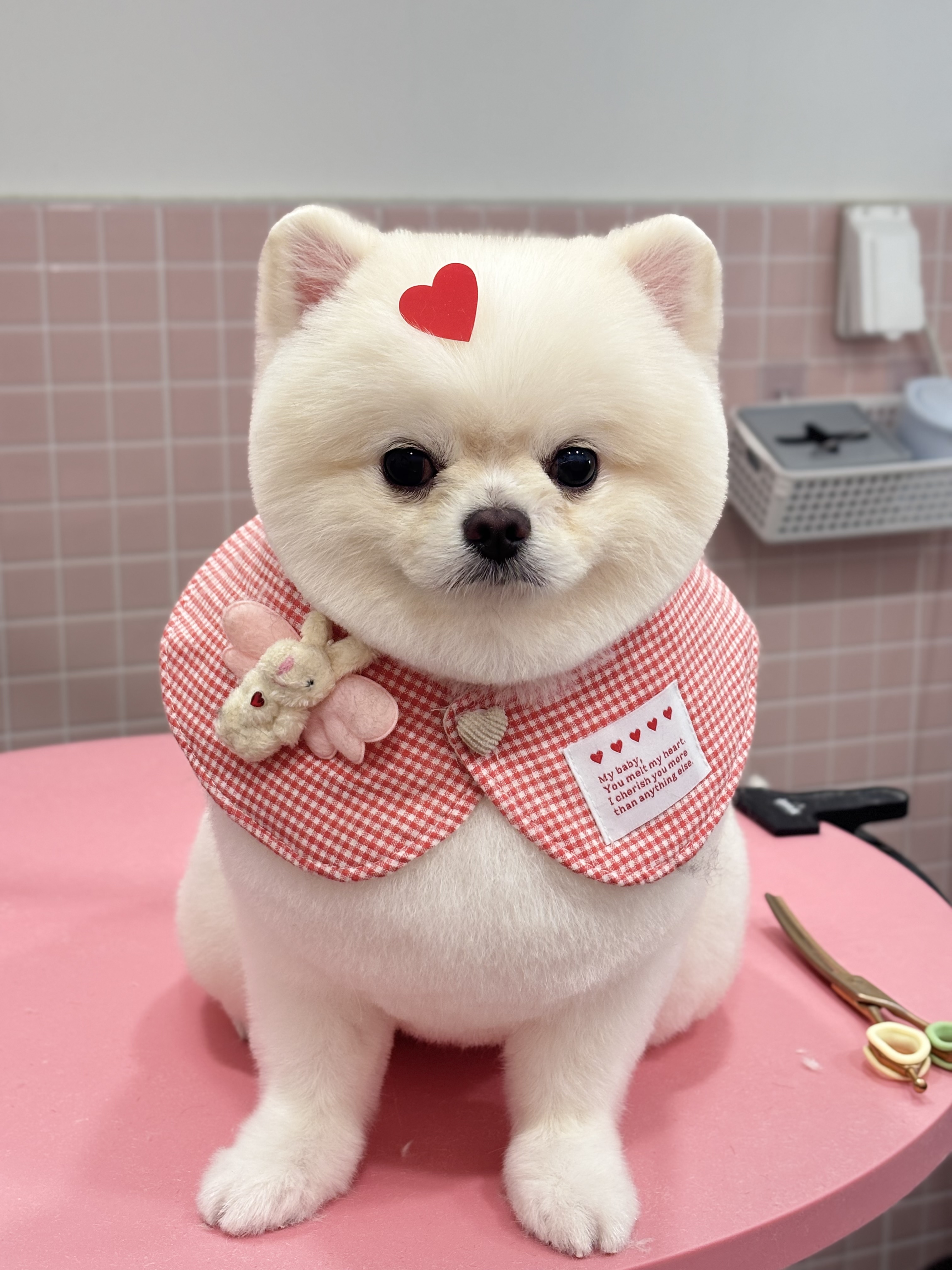 마마스미독 대표 이미지