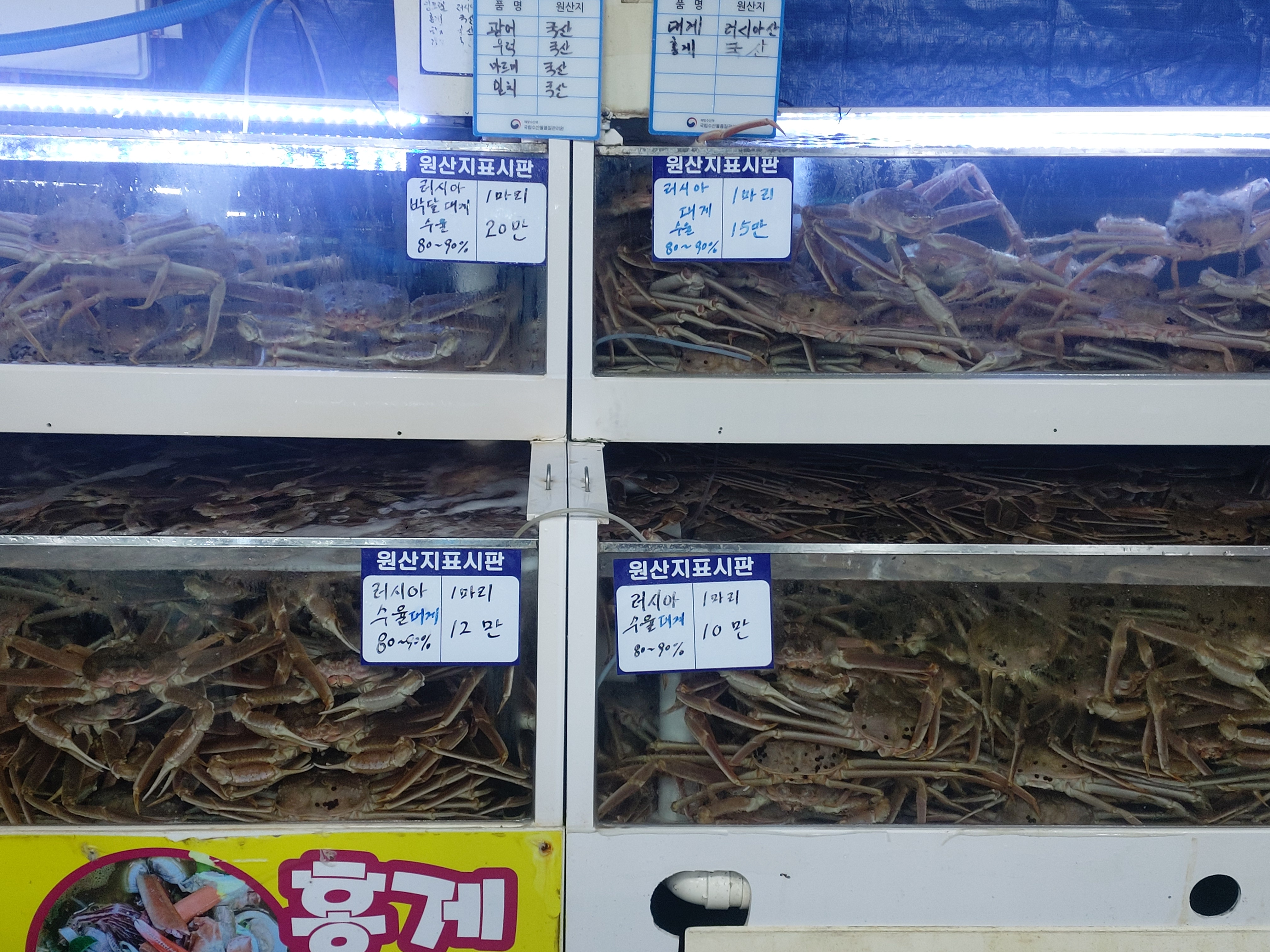 대게 킹크랩 홍게는 라면용