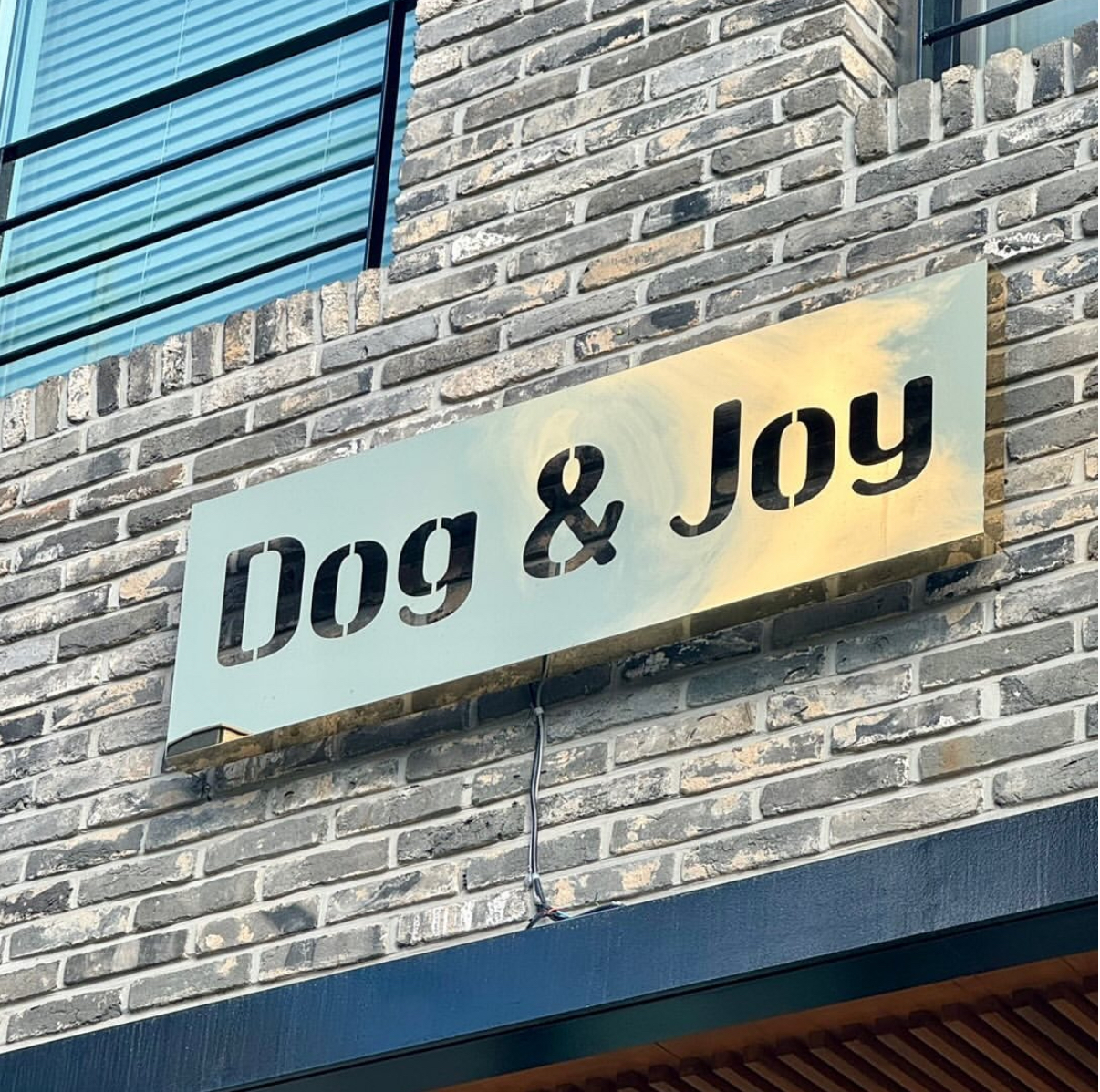도그앤조이