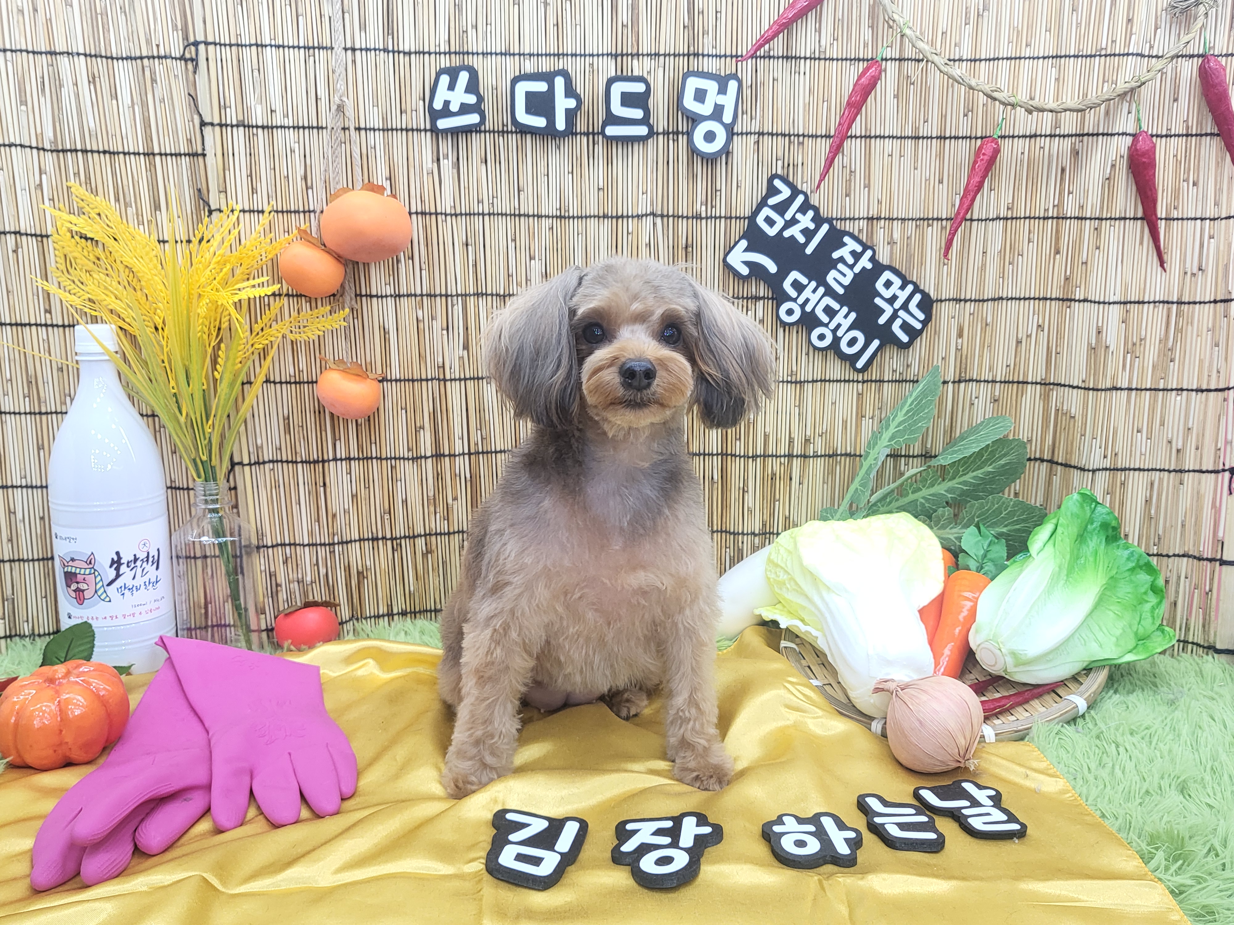 쓰다드멍 대표 이미지