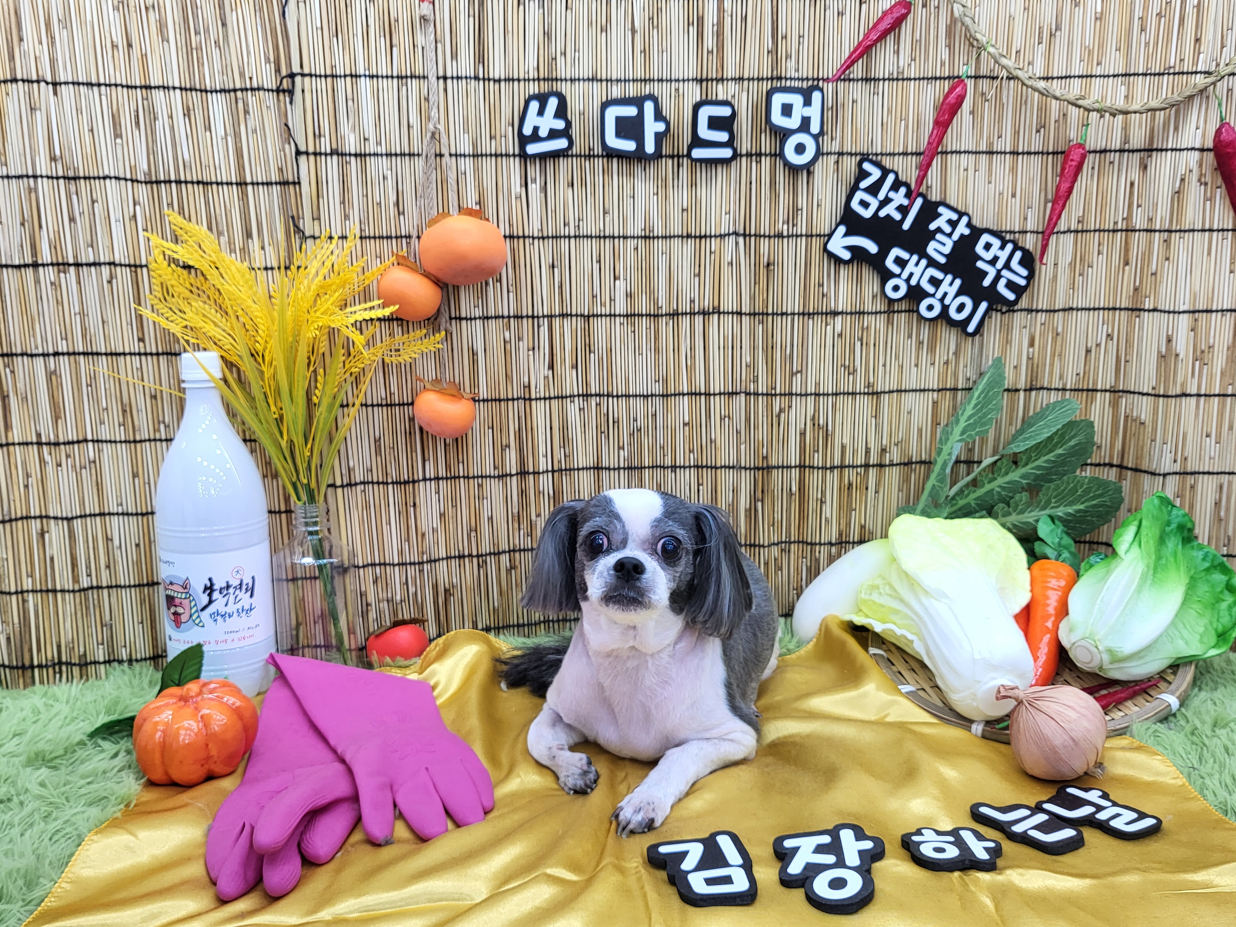 쓰다드멍 대표 이미지
