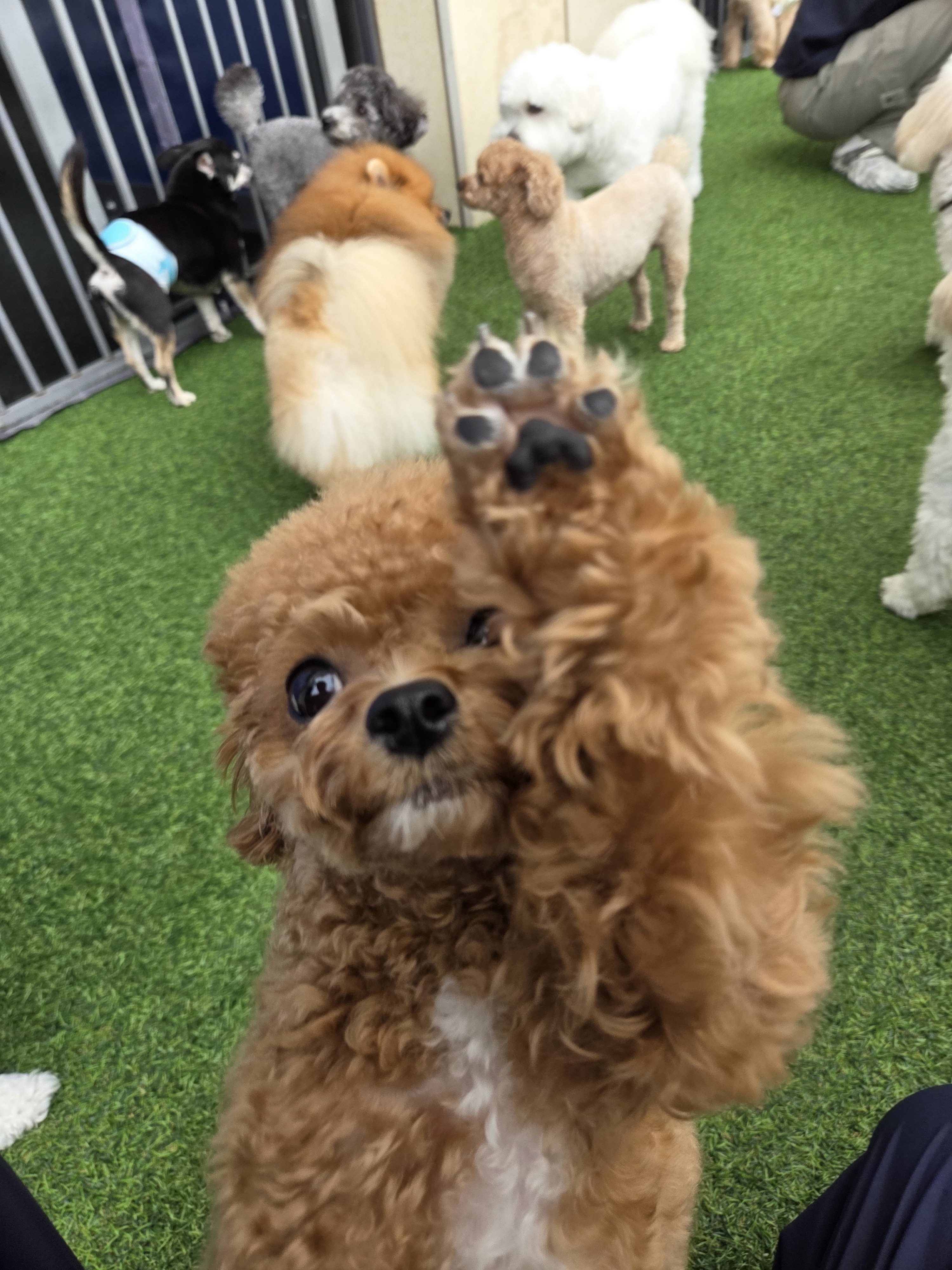 이리온 동탄 대표 이미지