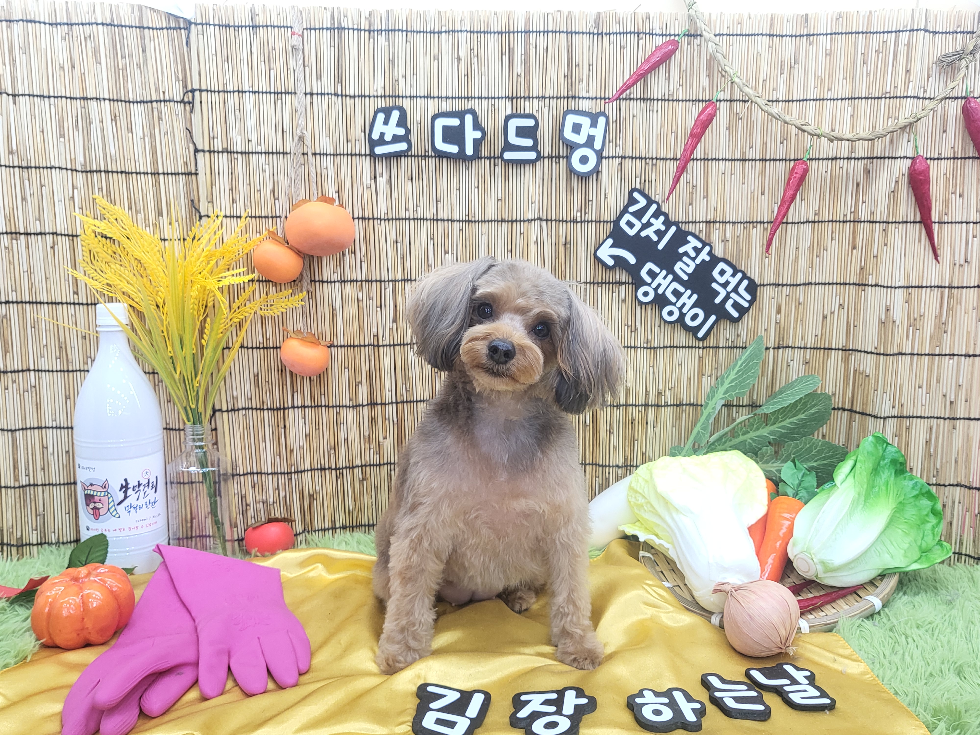 쓰다드멍 대표 이미지