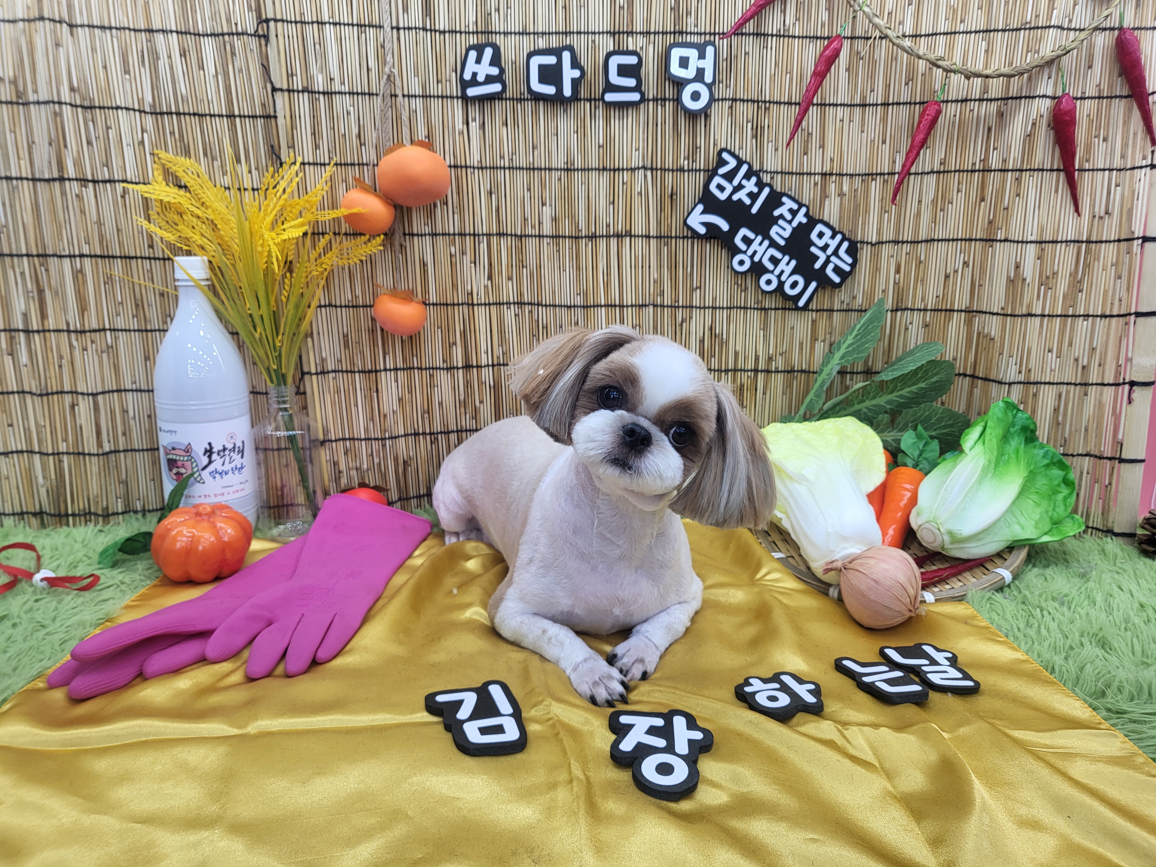 쓰다드멍 대표 이미지