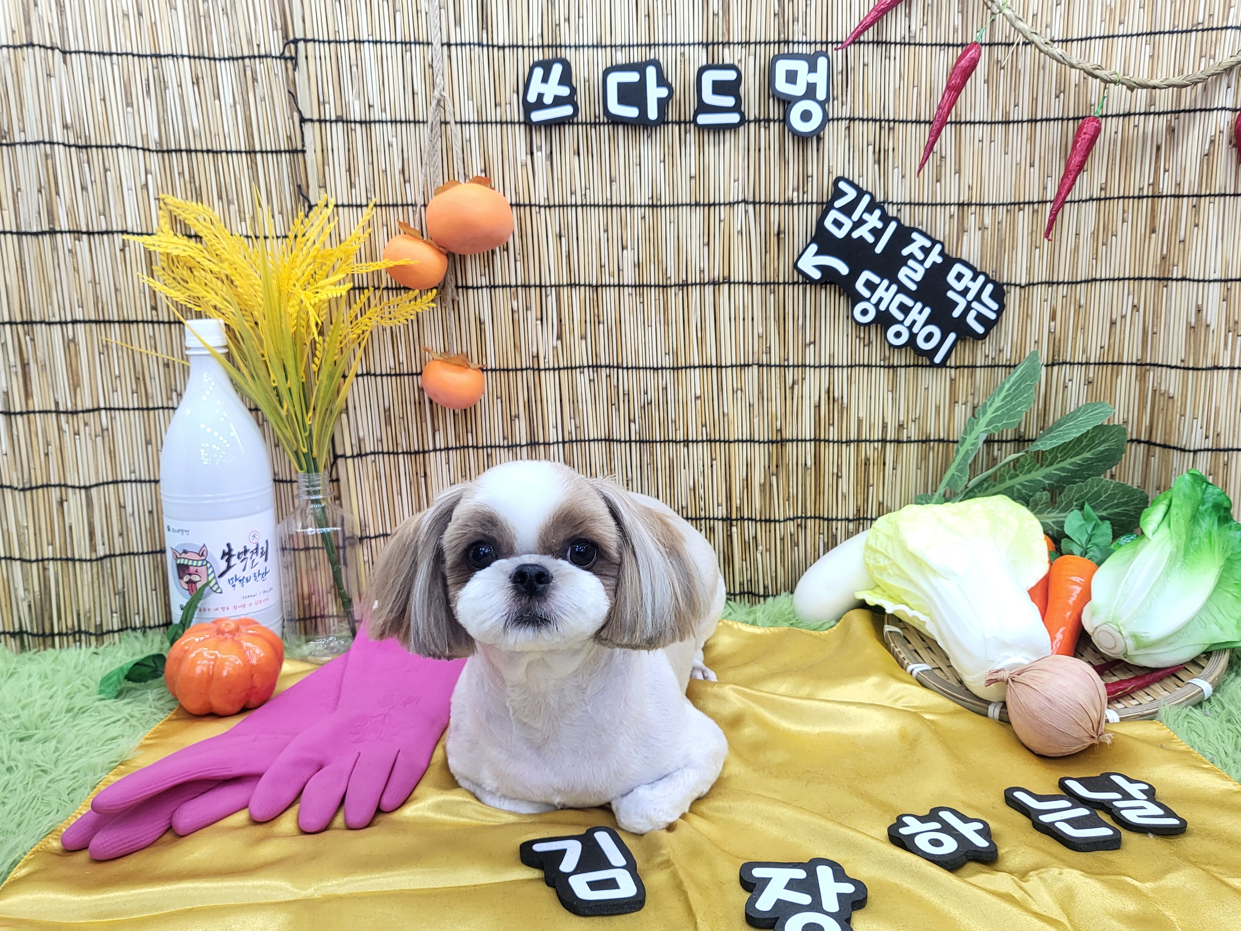 쓰다드멍 대표 이미지