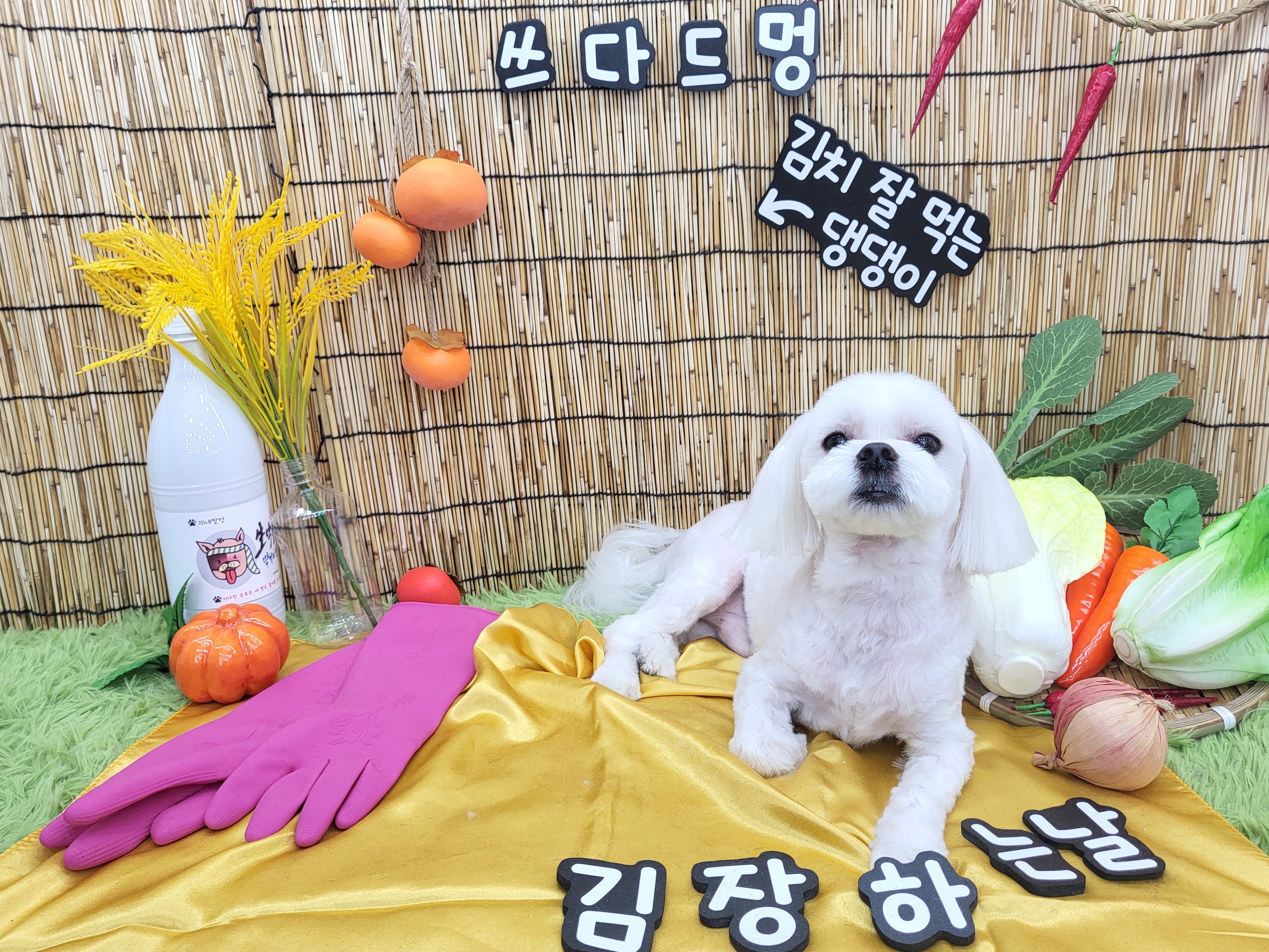 쓰다드멍 대표 이미지