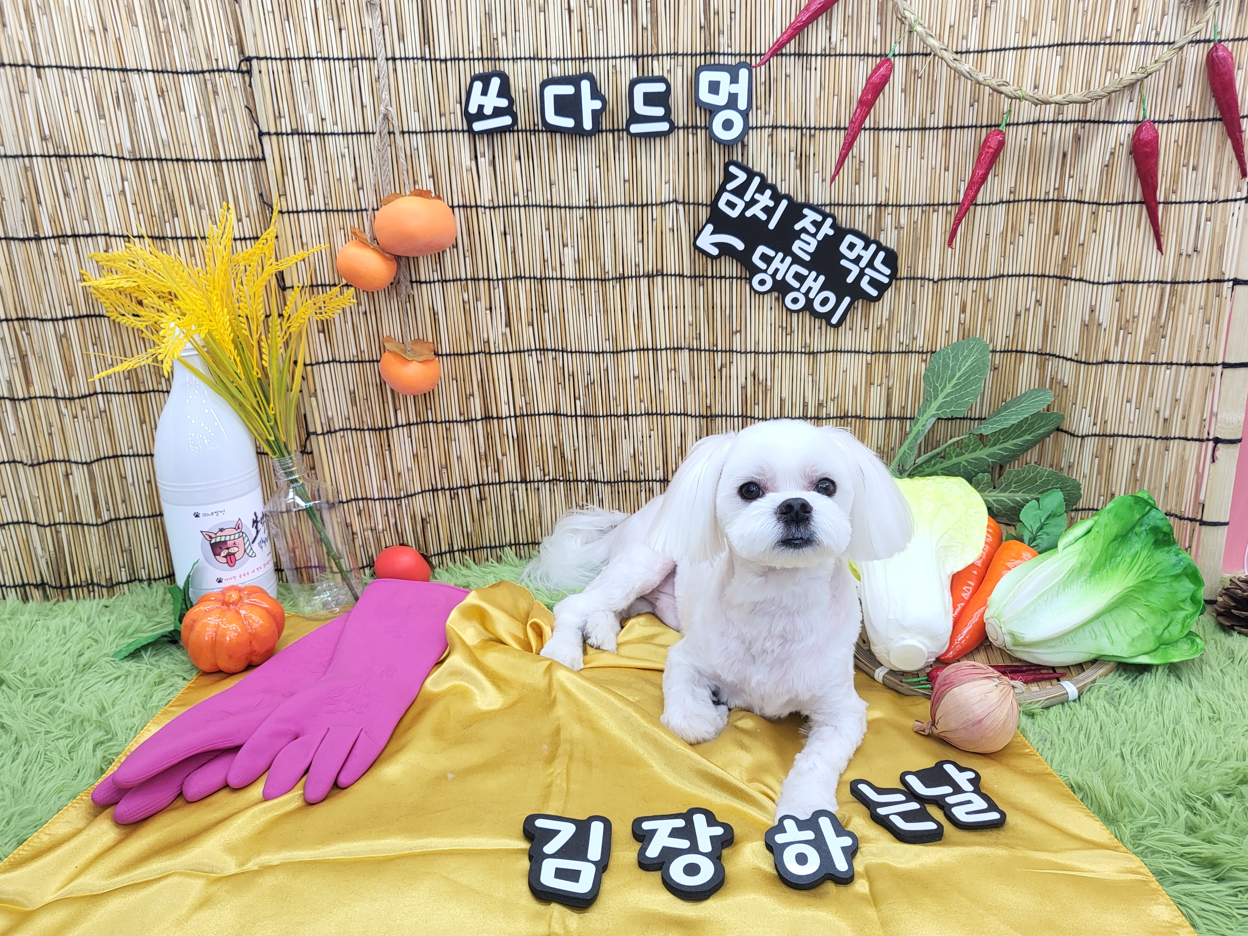 쓰다드멍 대표 이미지