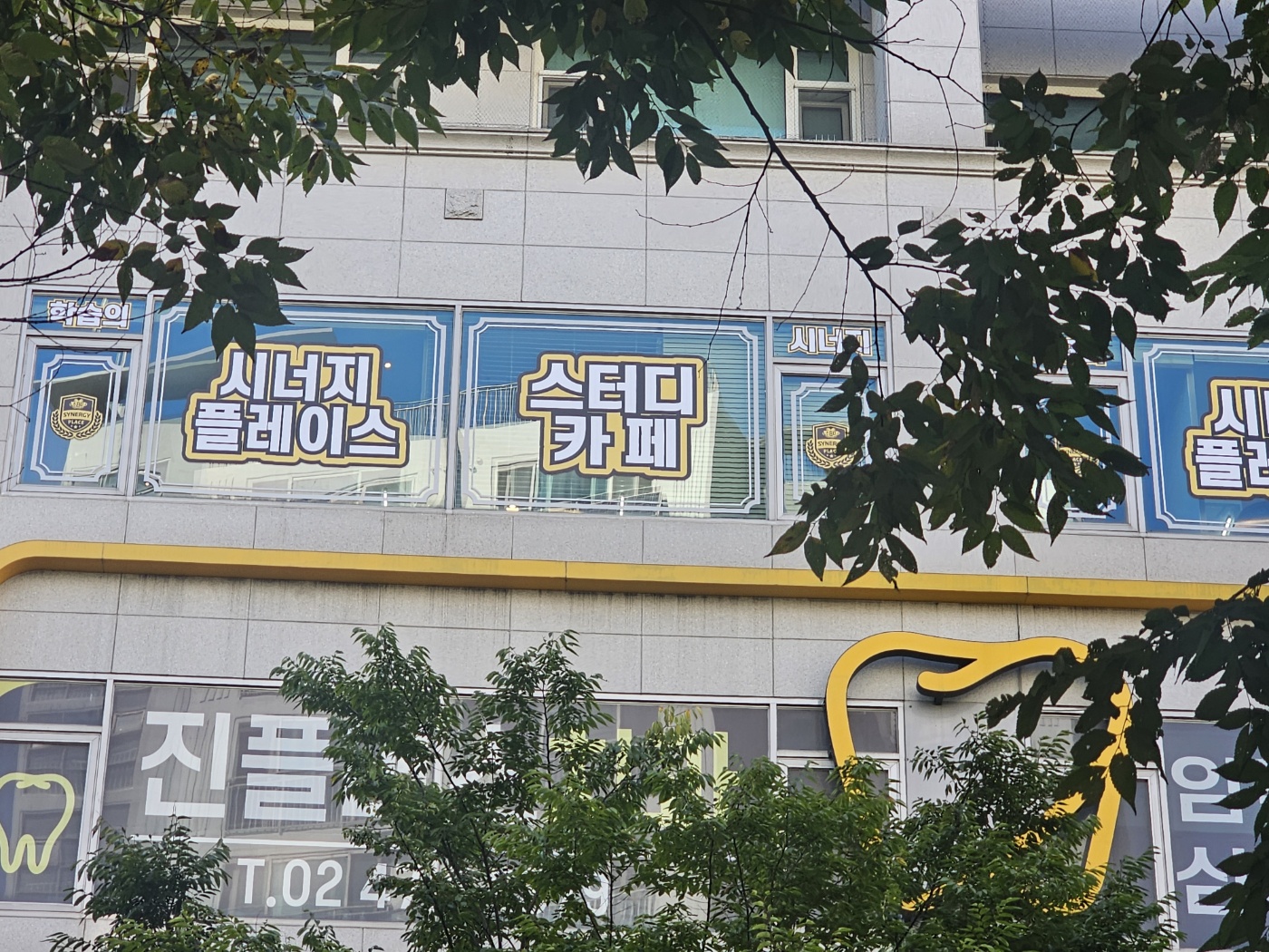 업체사진