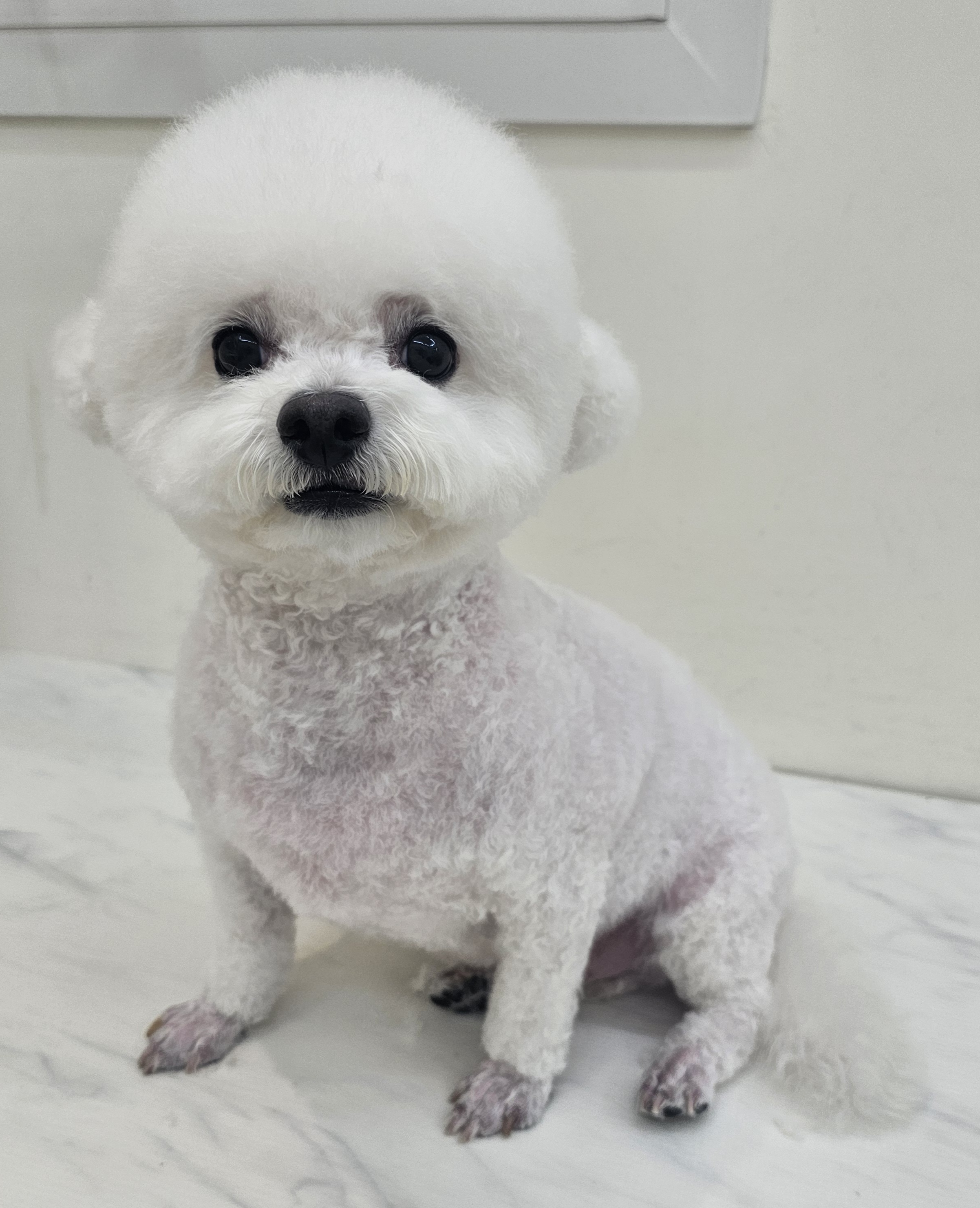 엘레멍스 대표 이미지