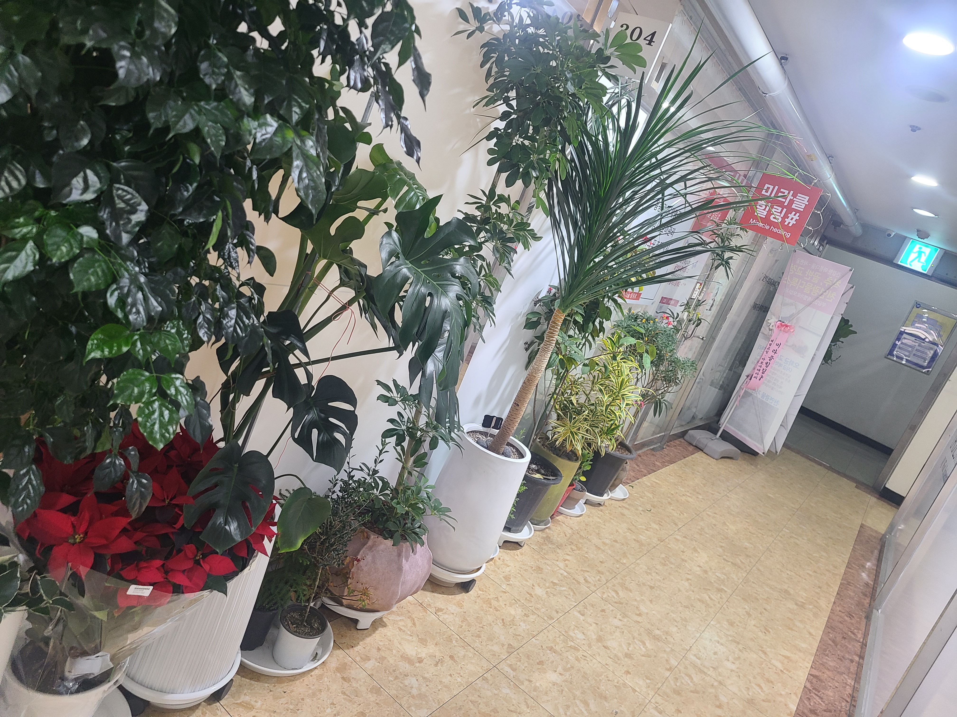 미라클힐링마사지 둔산점 photo 9
