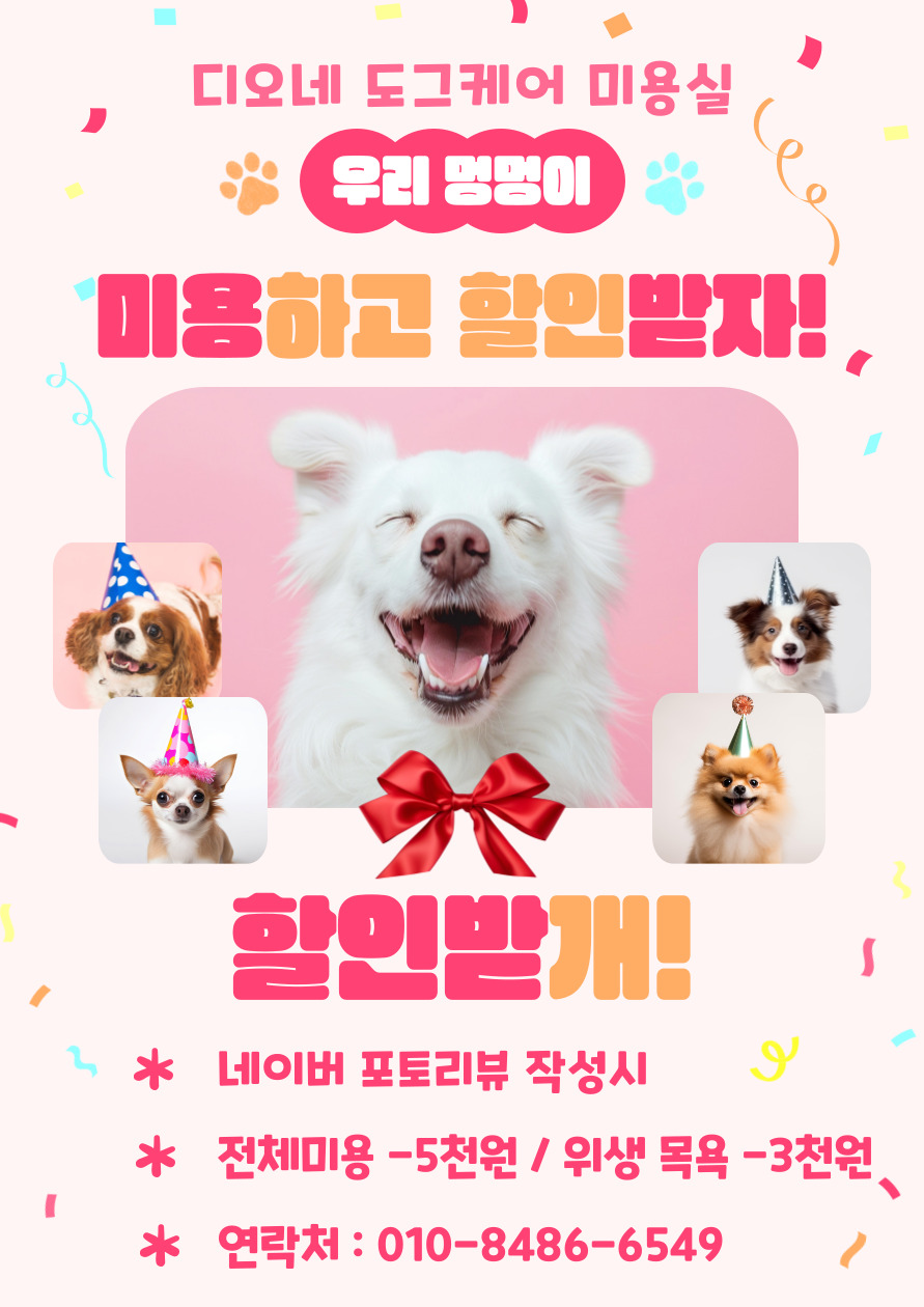 디오네도그케어살롱 대표 이미지