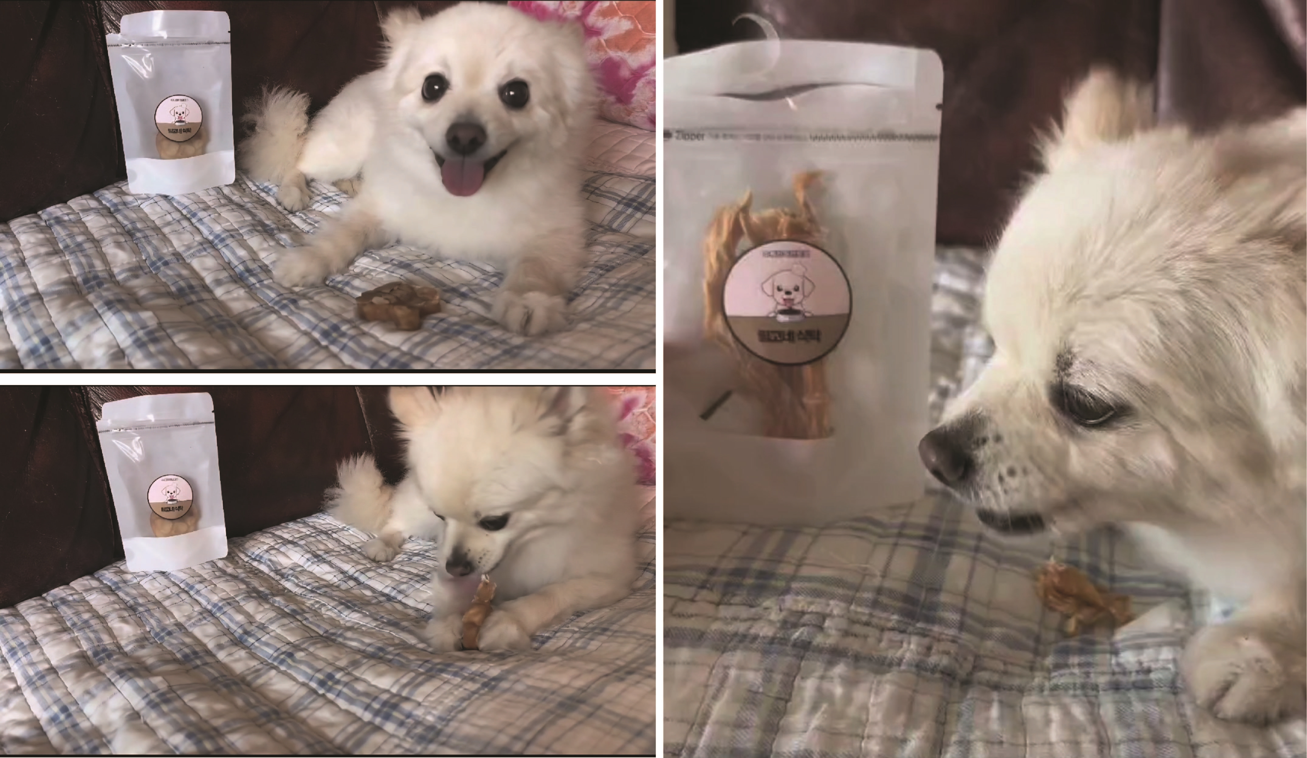 링고네식탁 대표 이미지