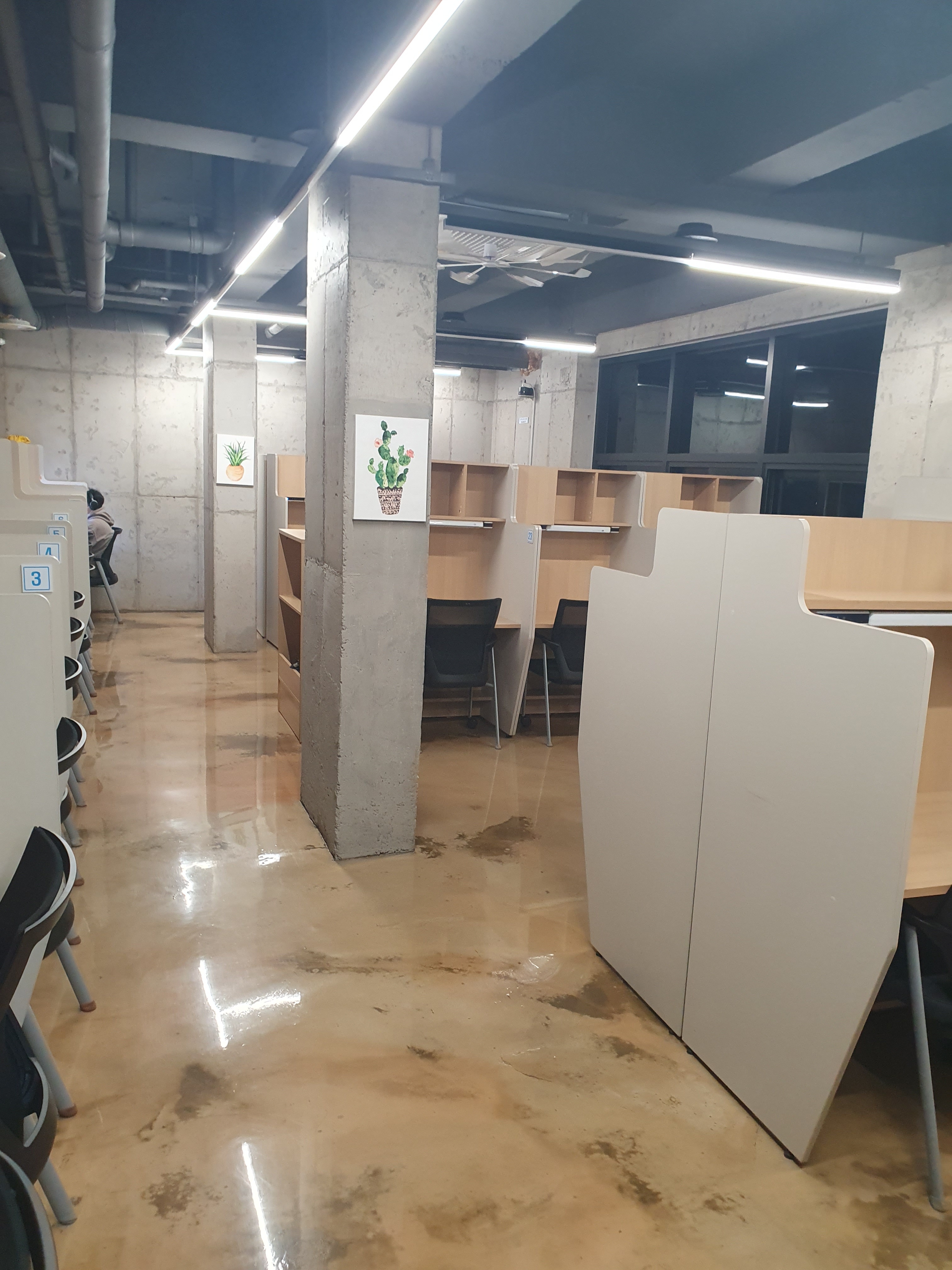 업체사진