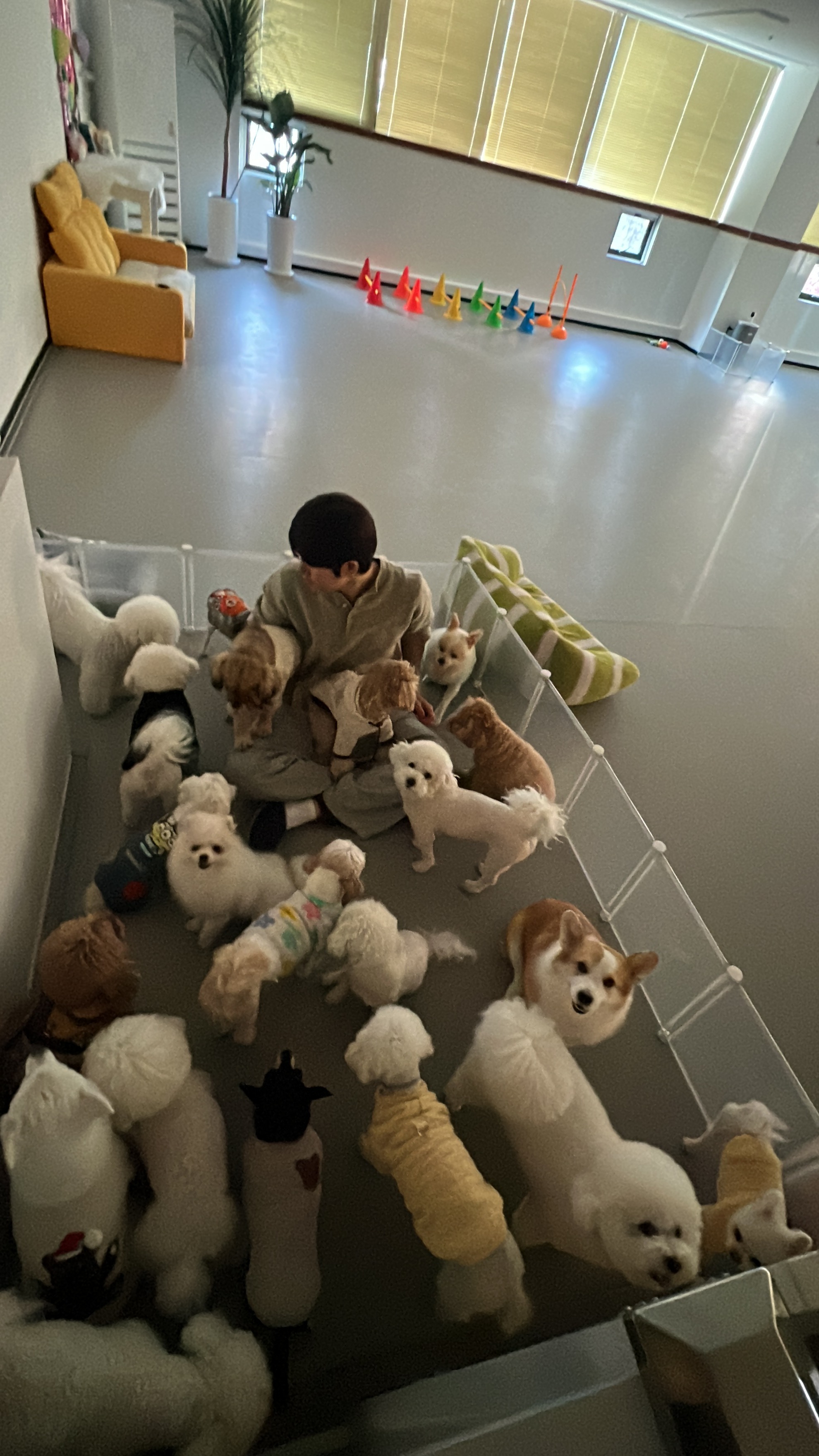 데일리멍 대표 이미지