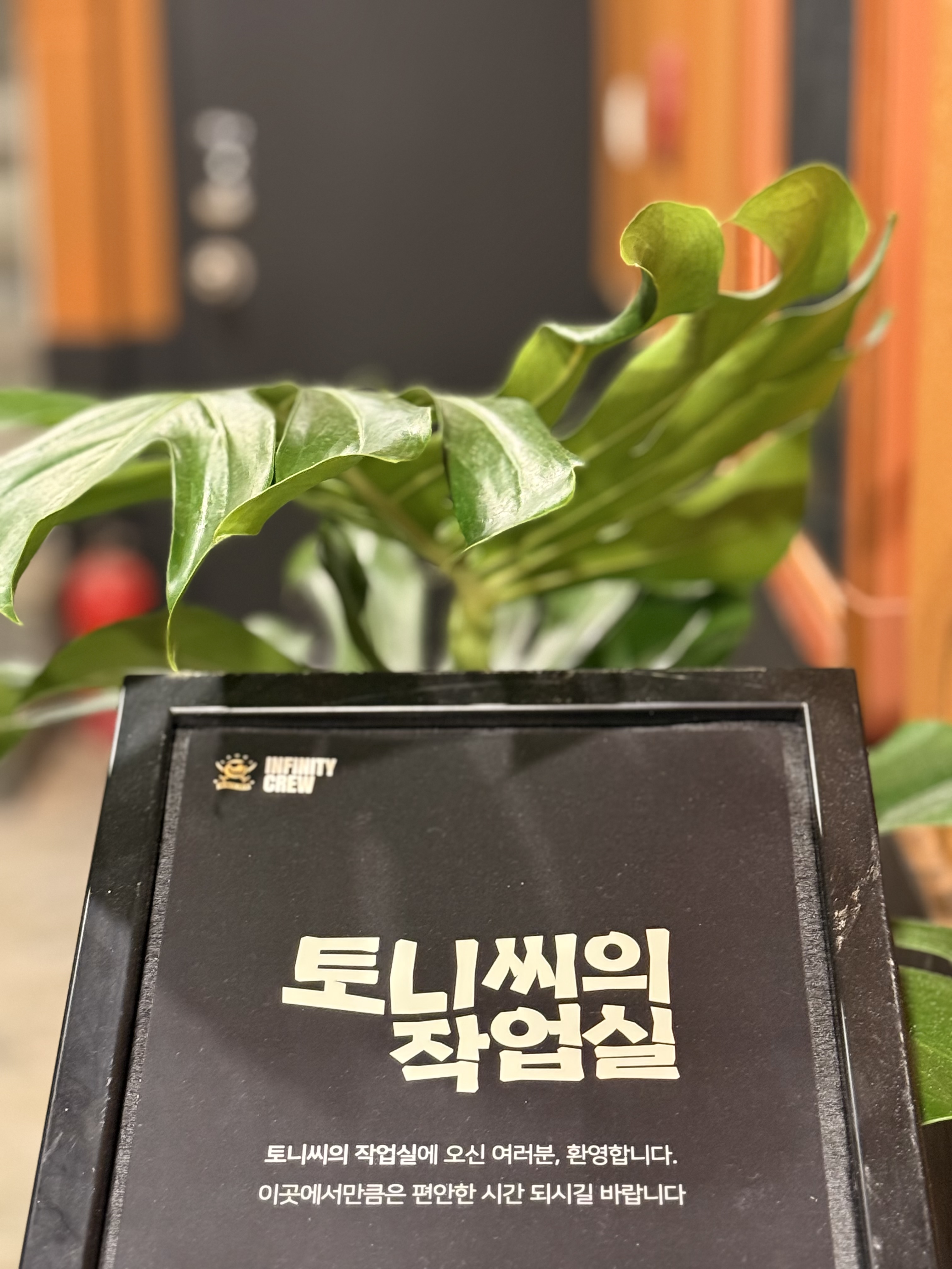 업체사진