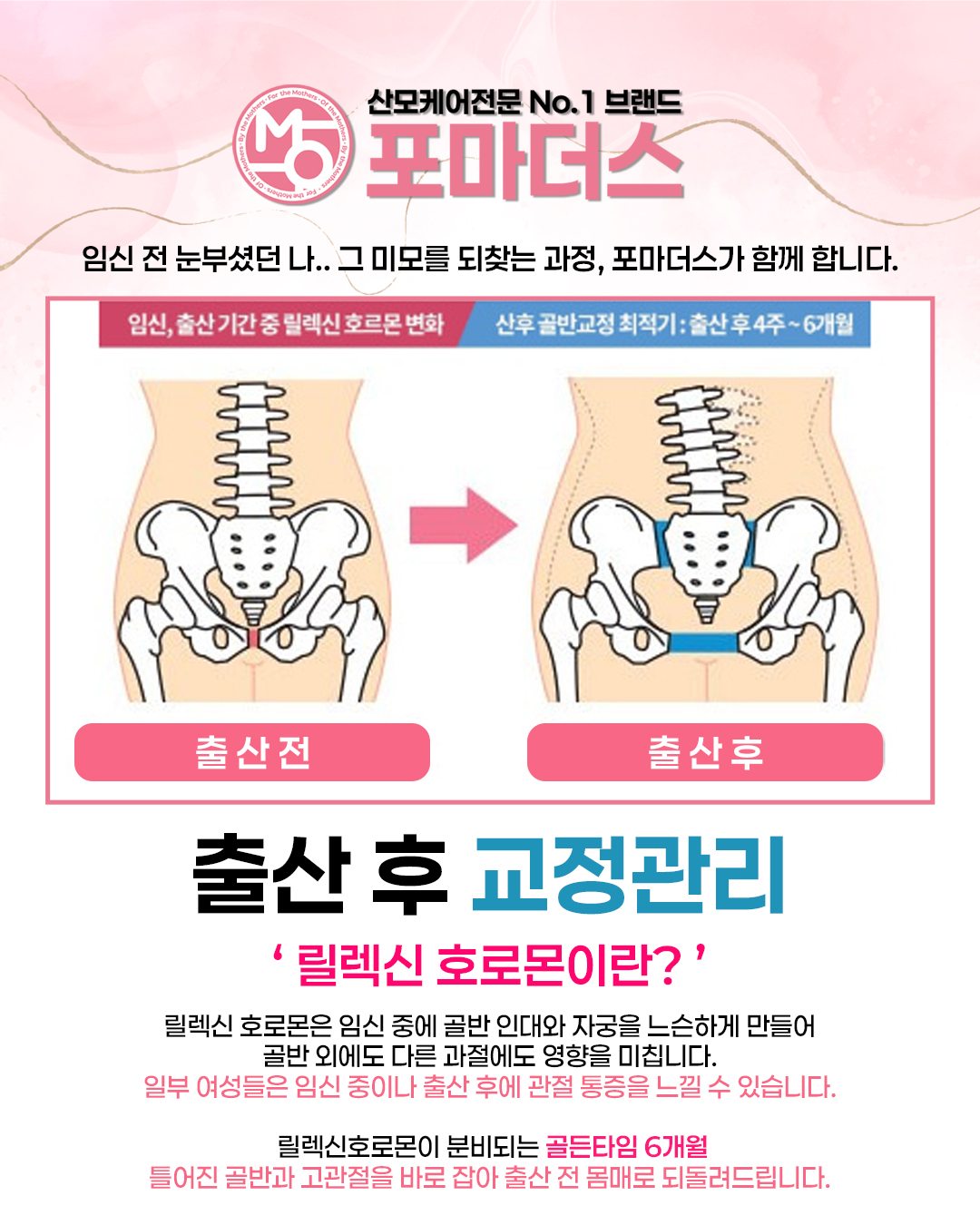 포마더스 photo 8