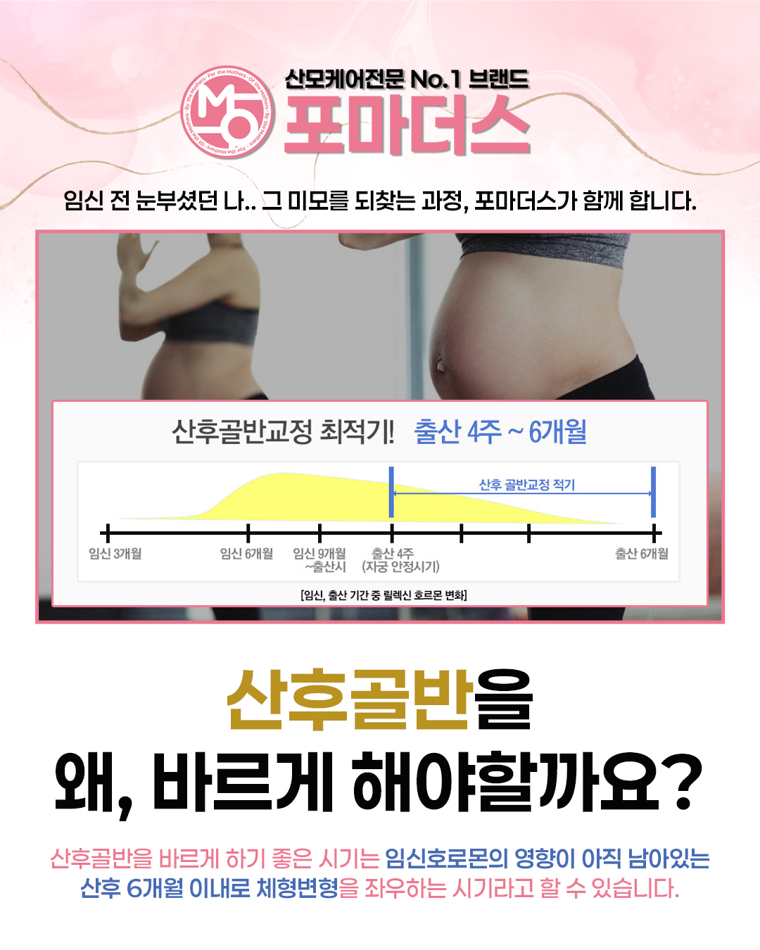포마더스 photo 9