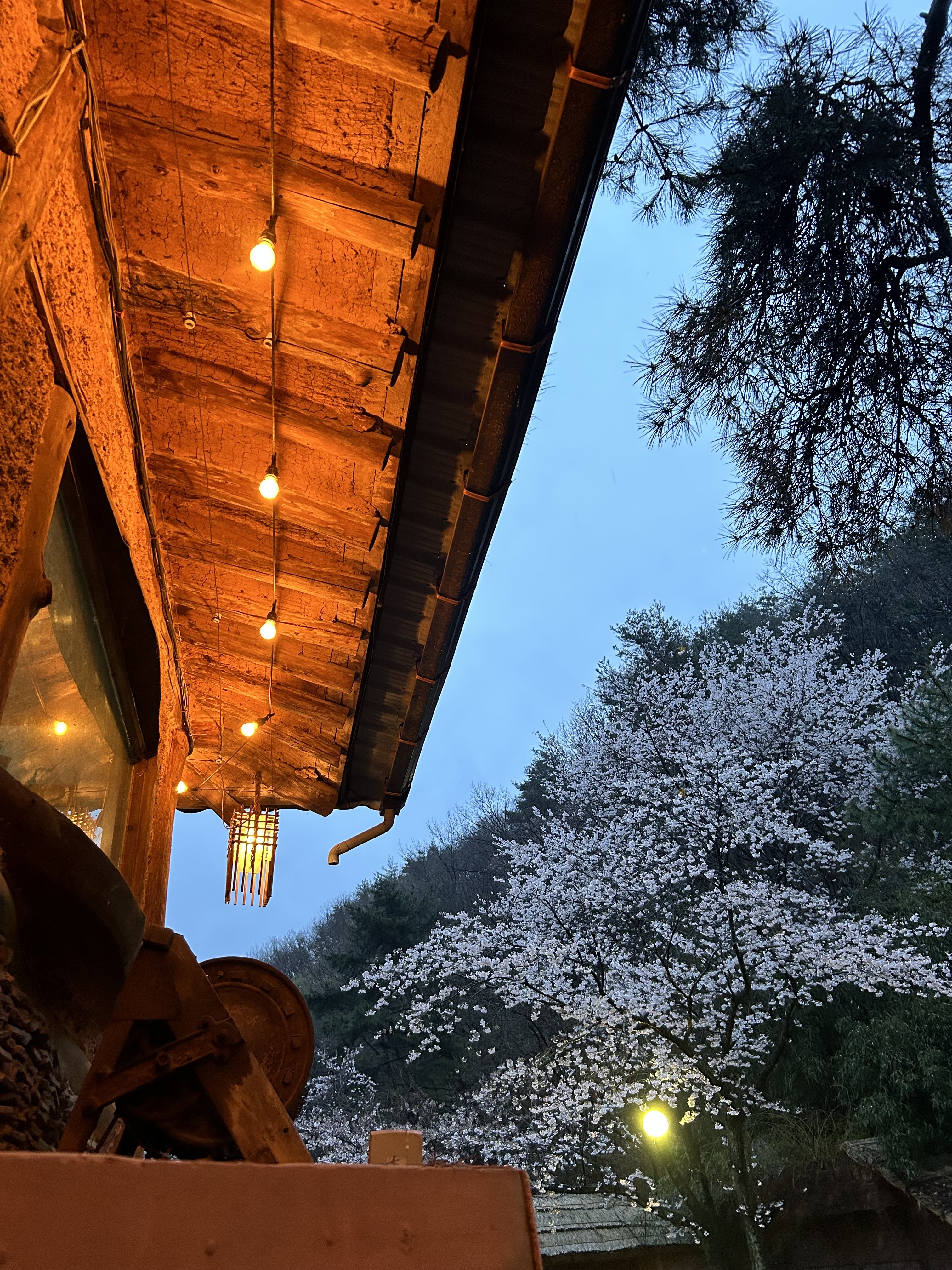 요산요수 2