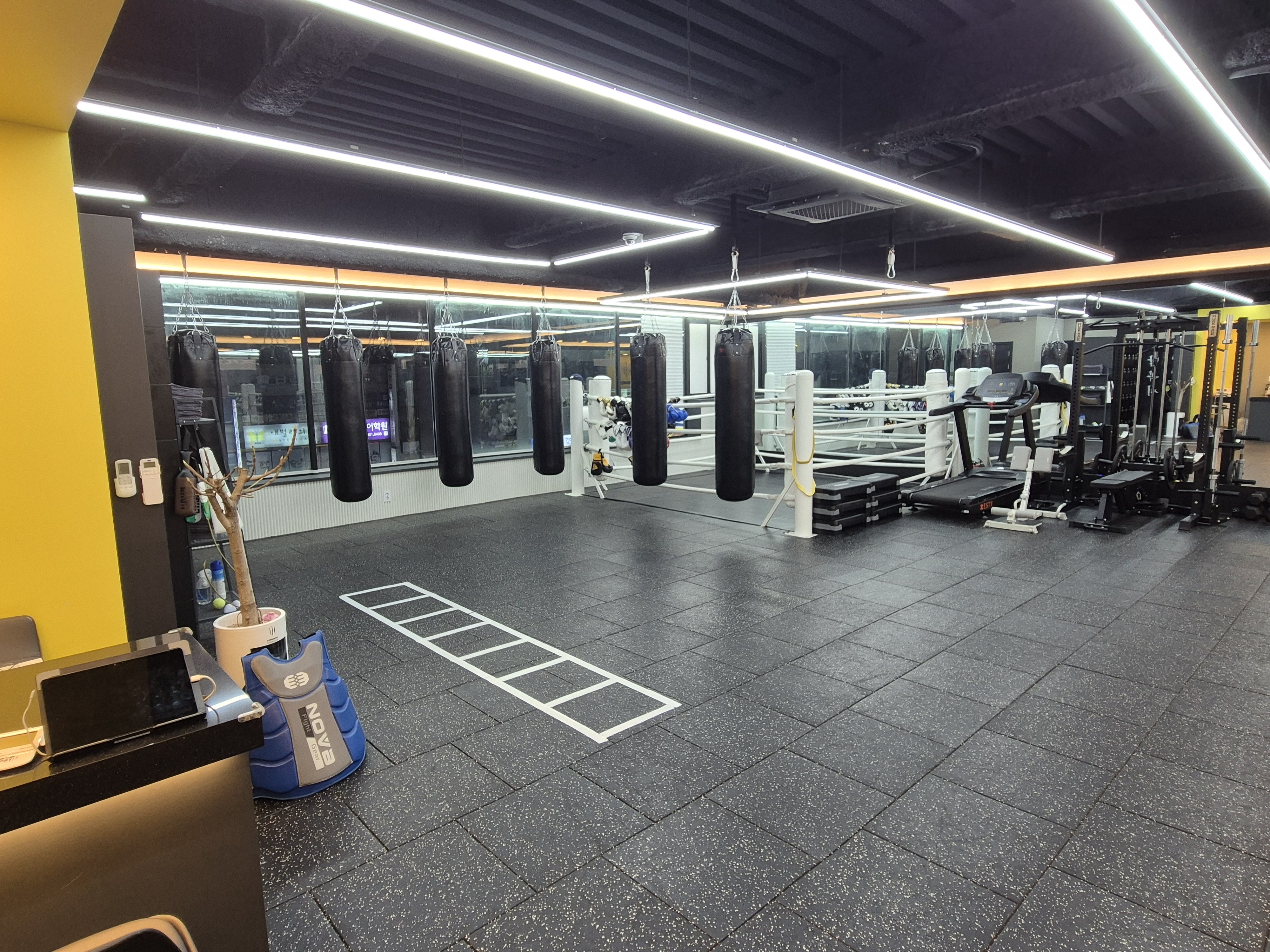 경기도 고양시 일산동구 복싱체육관 드래곤복싱클럽 백마점 내부 모습 4