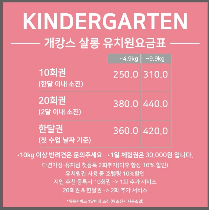개캉스살롱 2