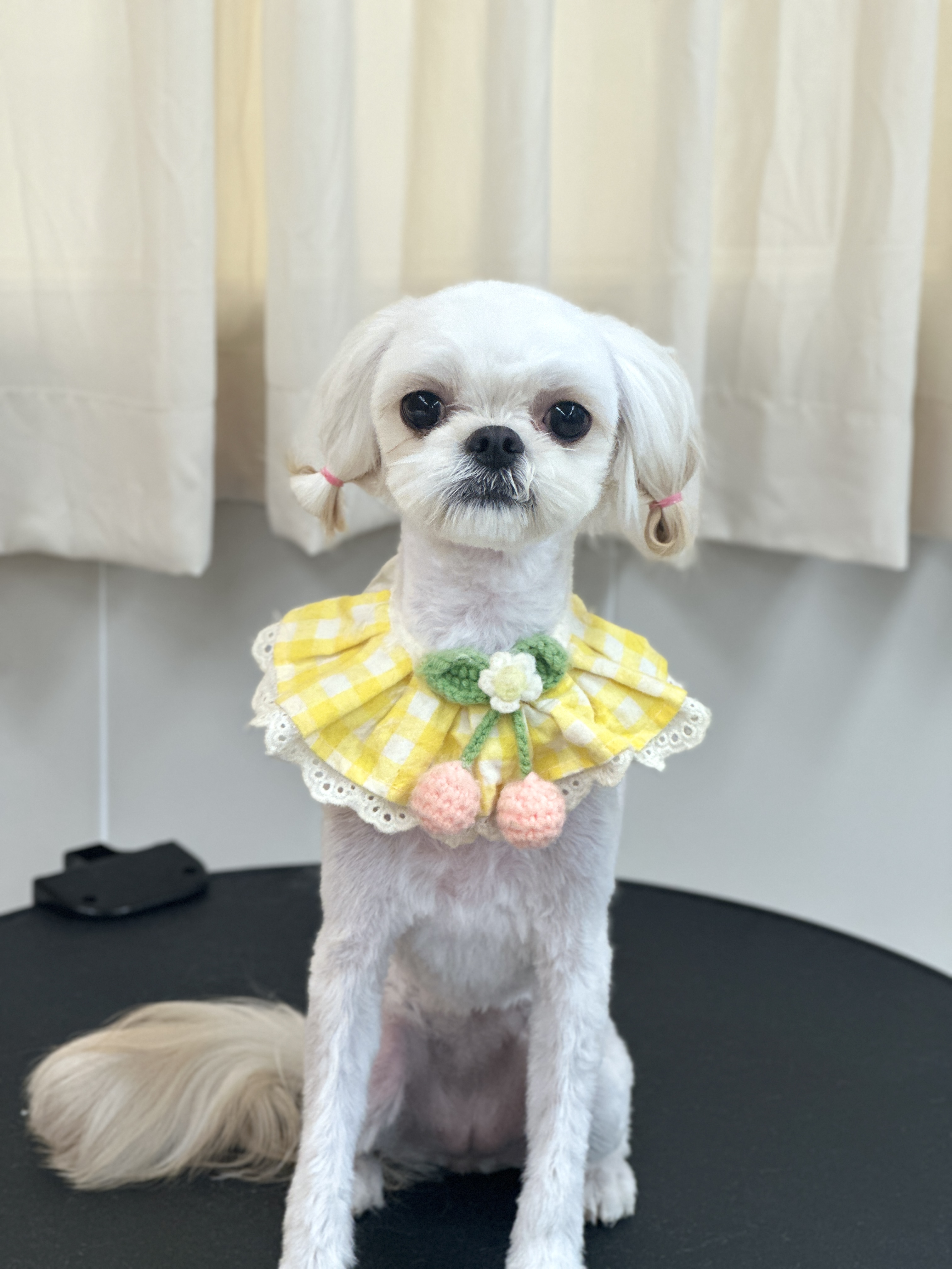 미용오개 대표 이미지