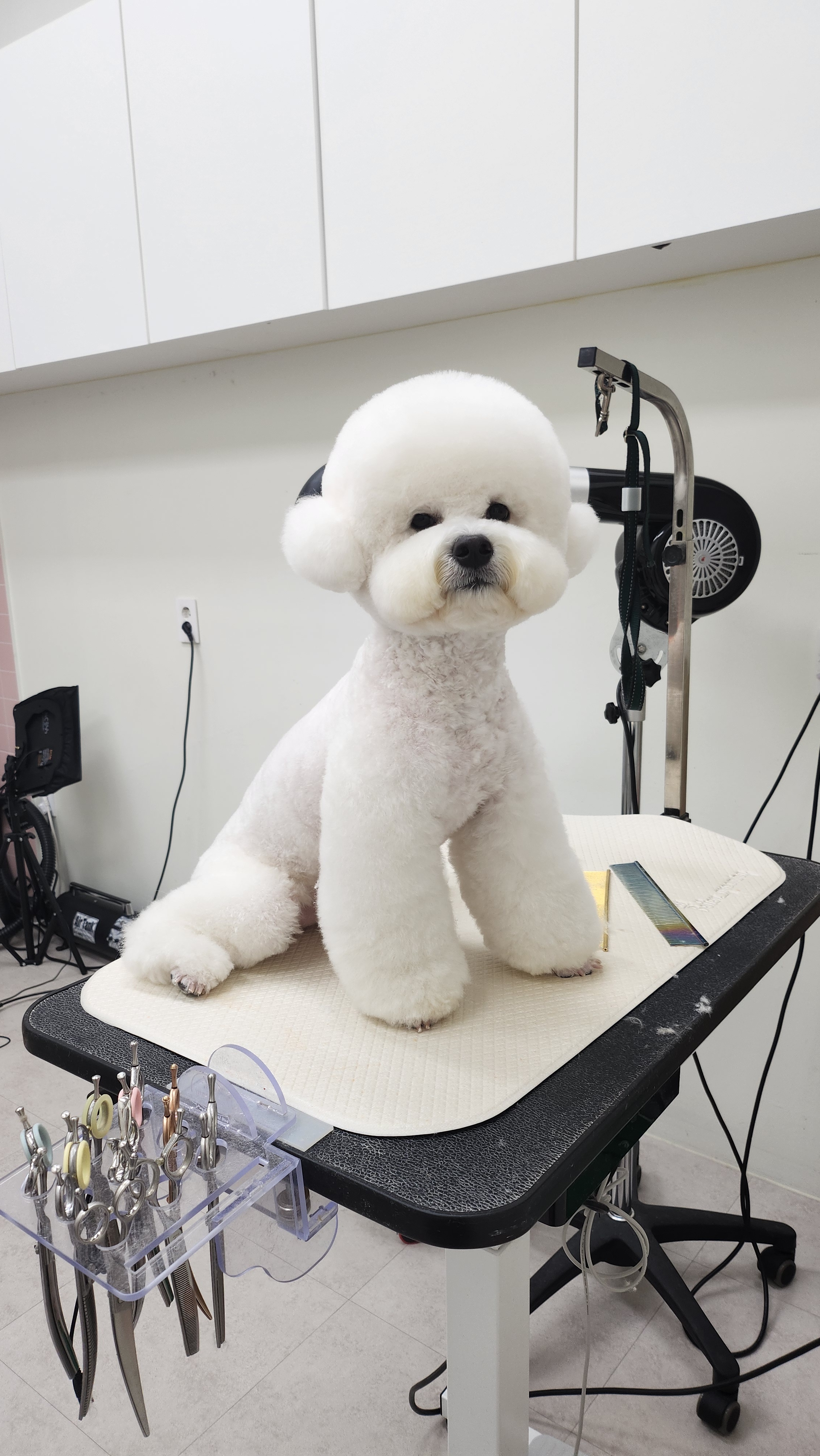와와살롱 대표 이미지