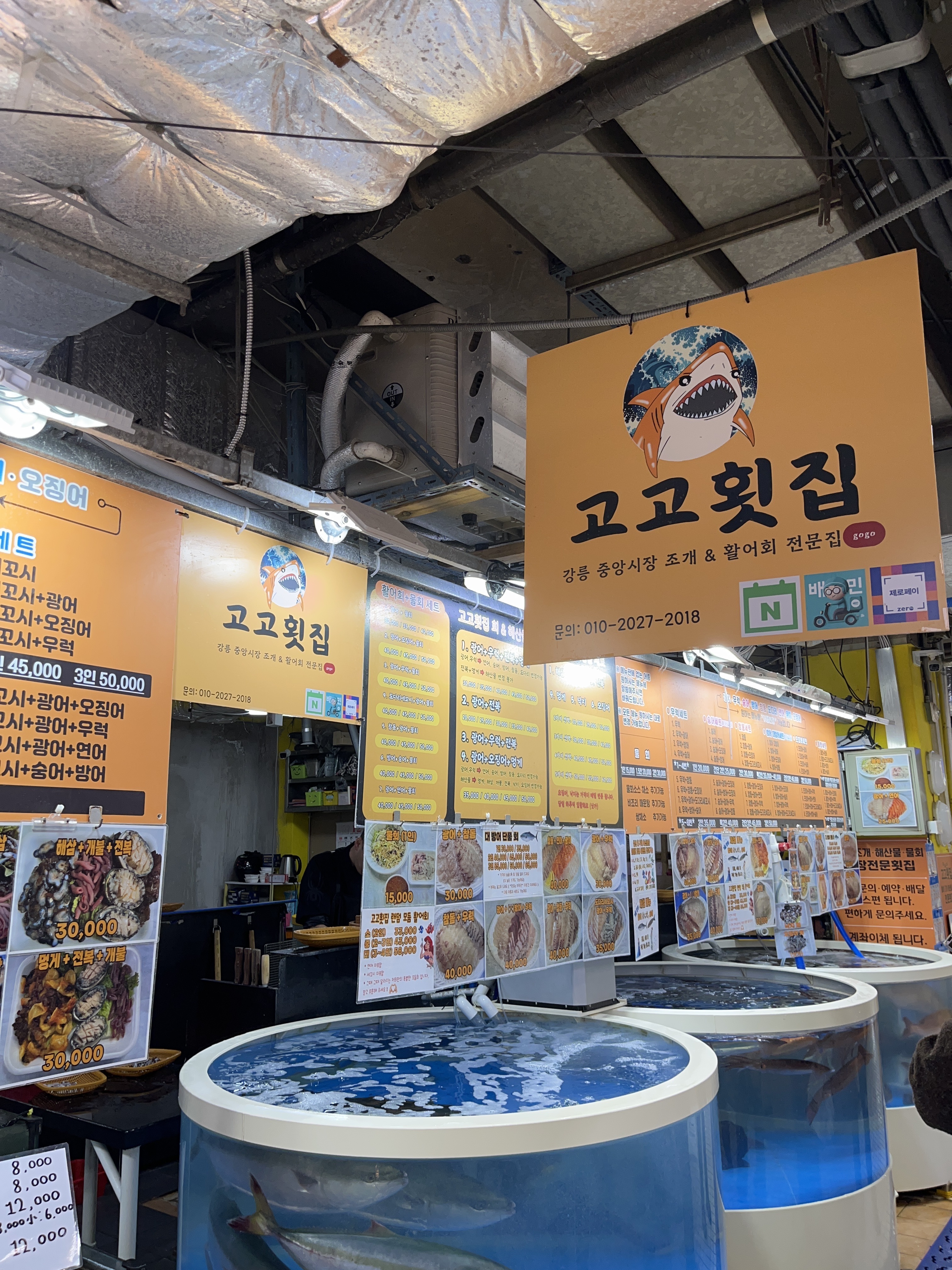 강릉 고고횟집 사진
