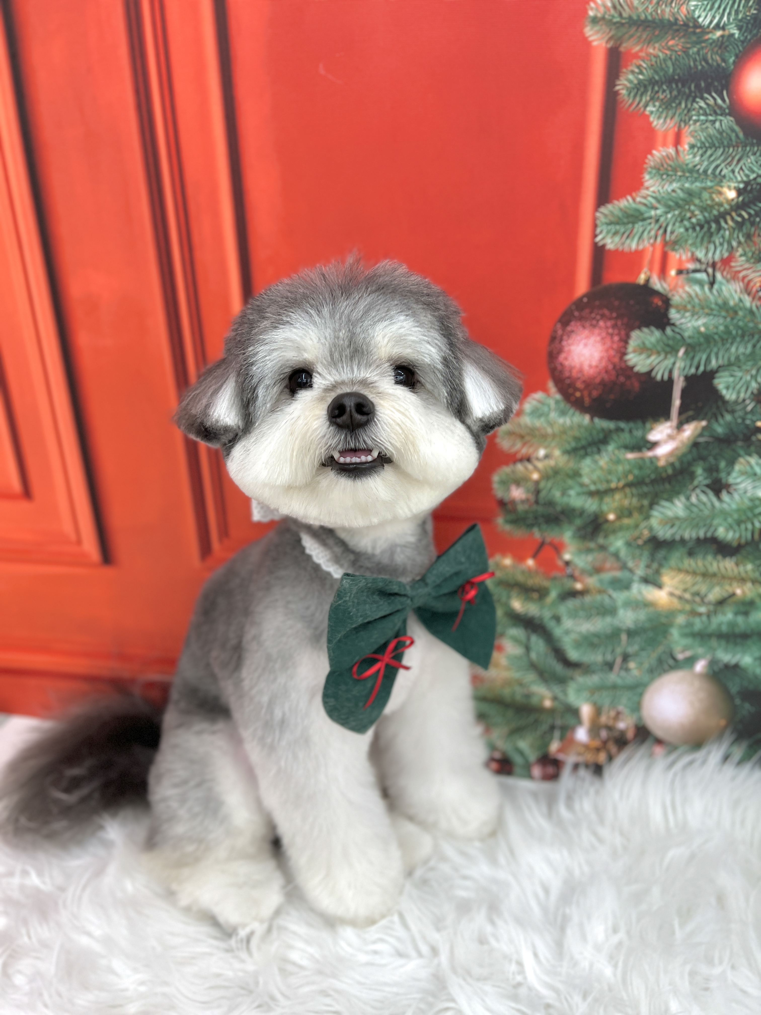 트리밍153 대표 이미지