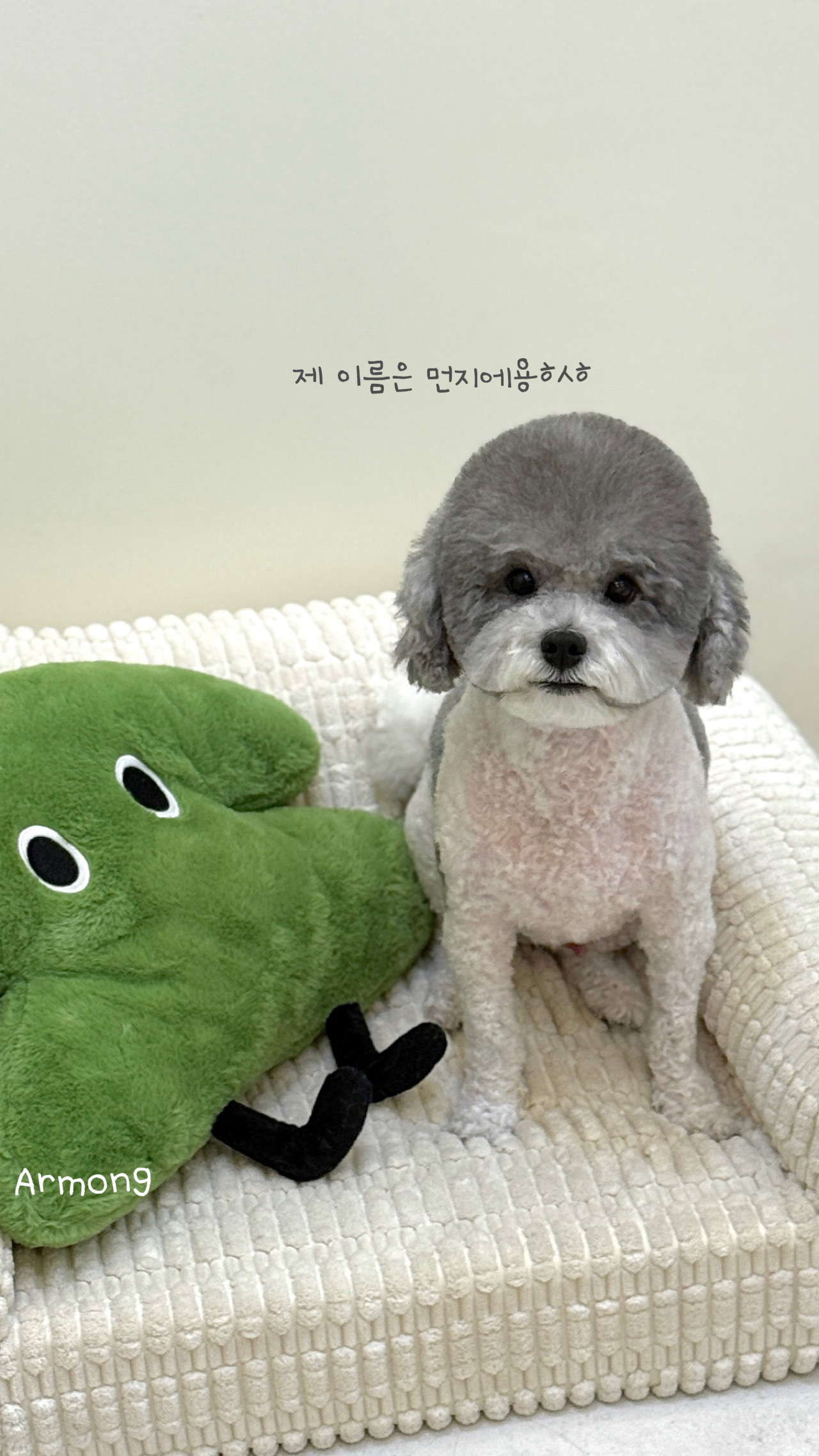 아르몽 대표 이미지