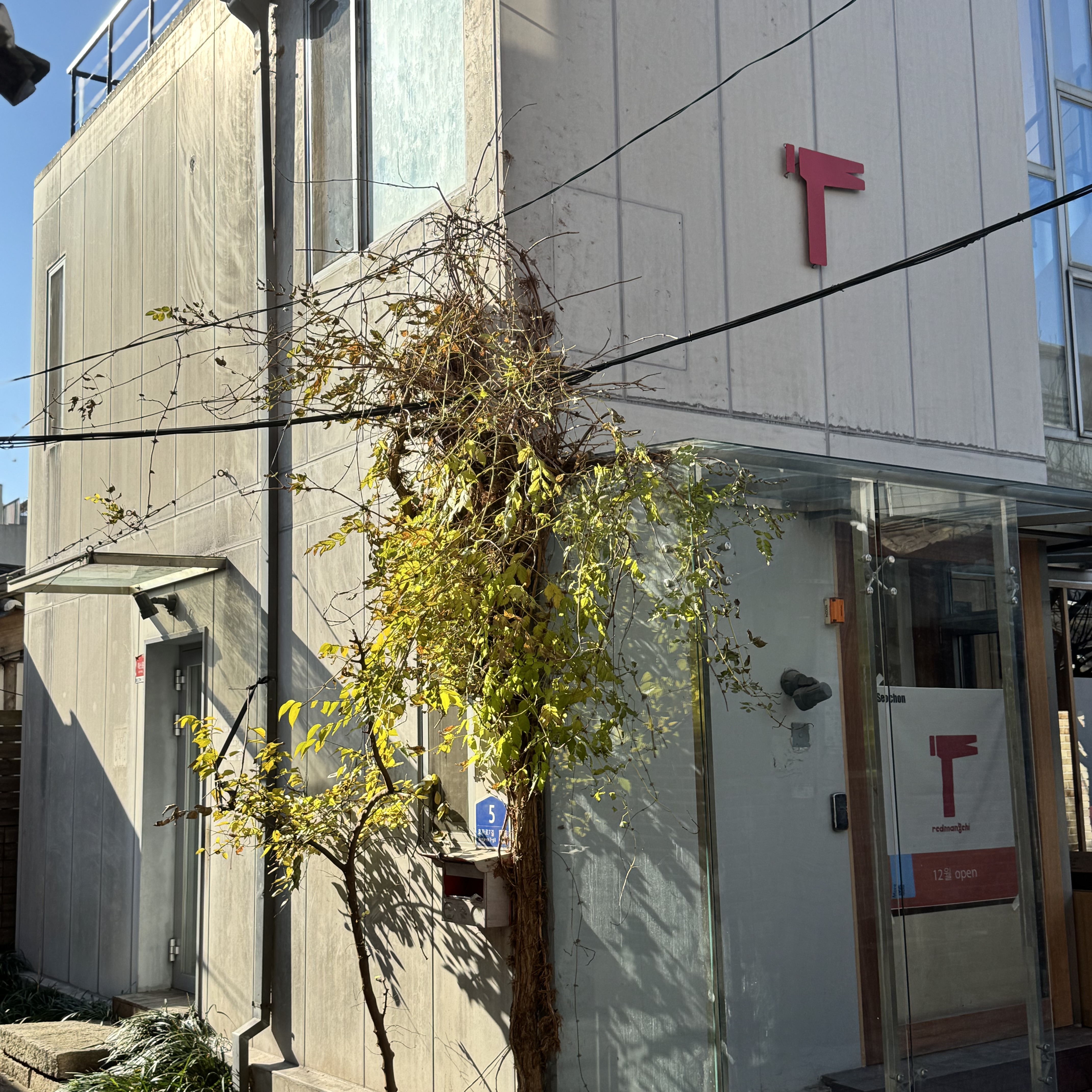 레드망치 서촌점 대표 이미지