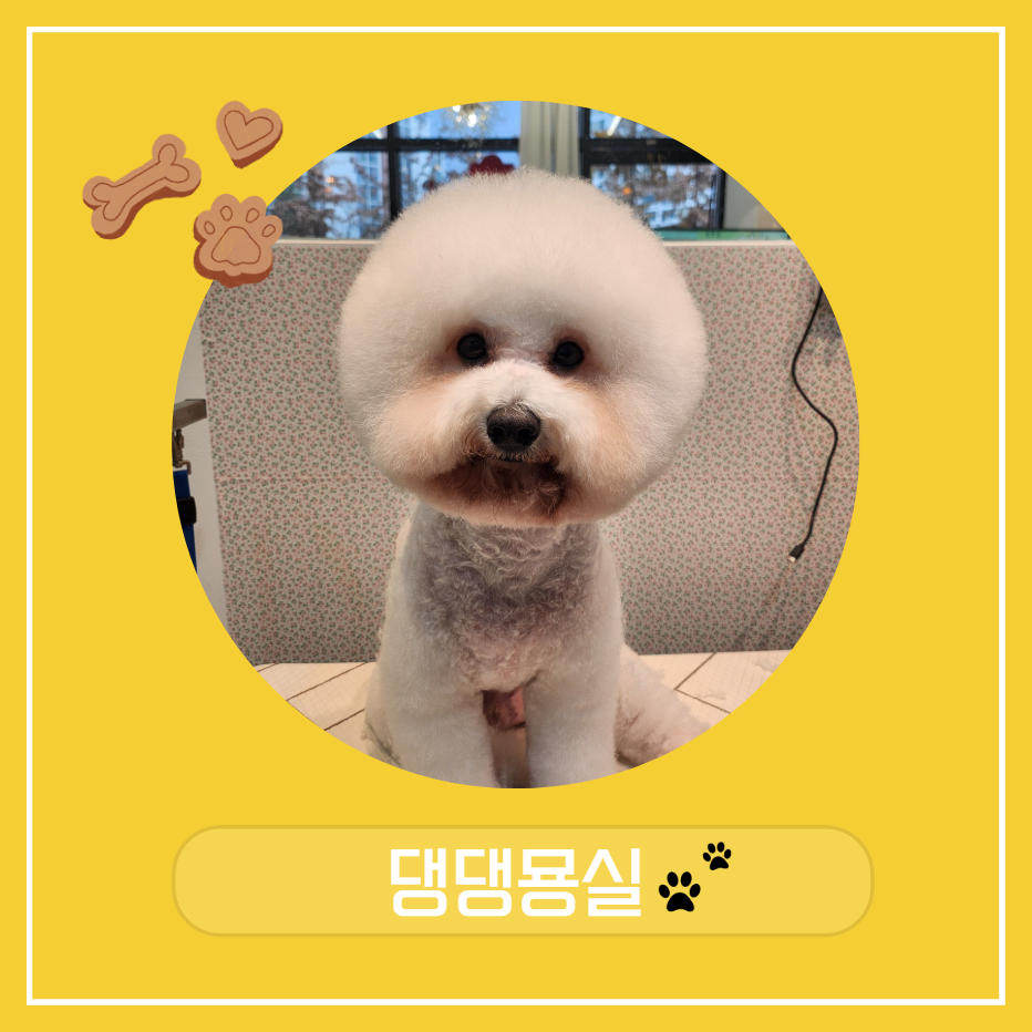 댕댕묭실 대표 이미지