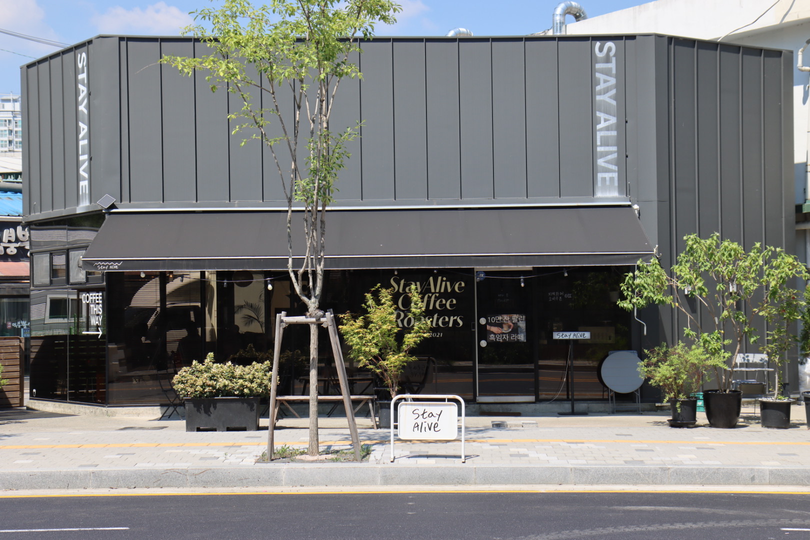 스테이 얼라이브