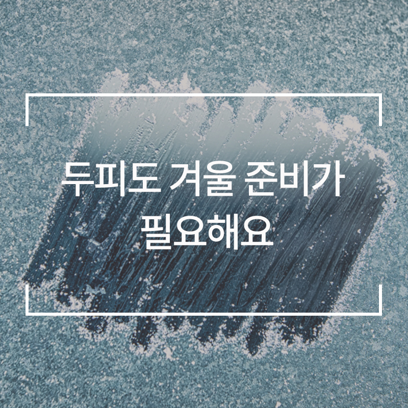 웰킨 마곡점 이미지