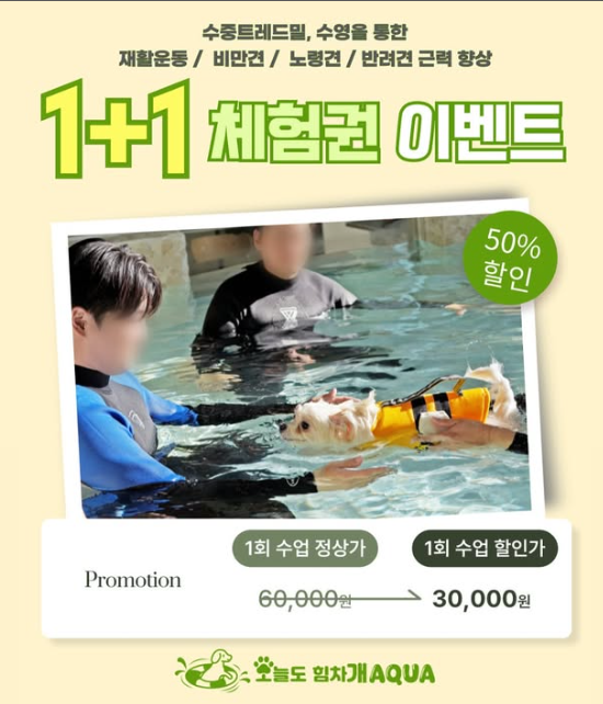 오늘도힘차개아쿠아 대표 이미지