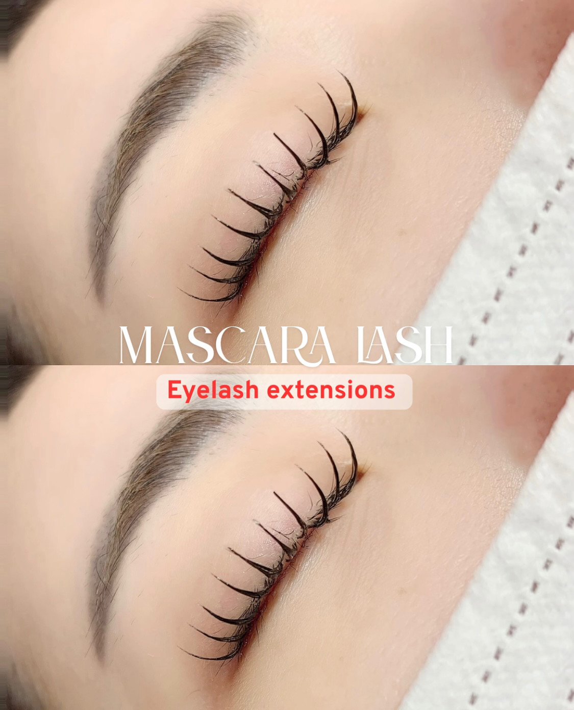 예쌤 대표 이미지