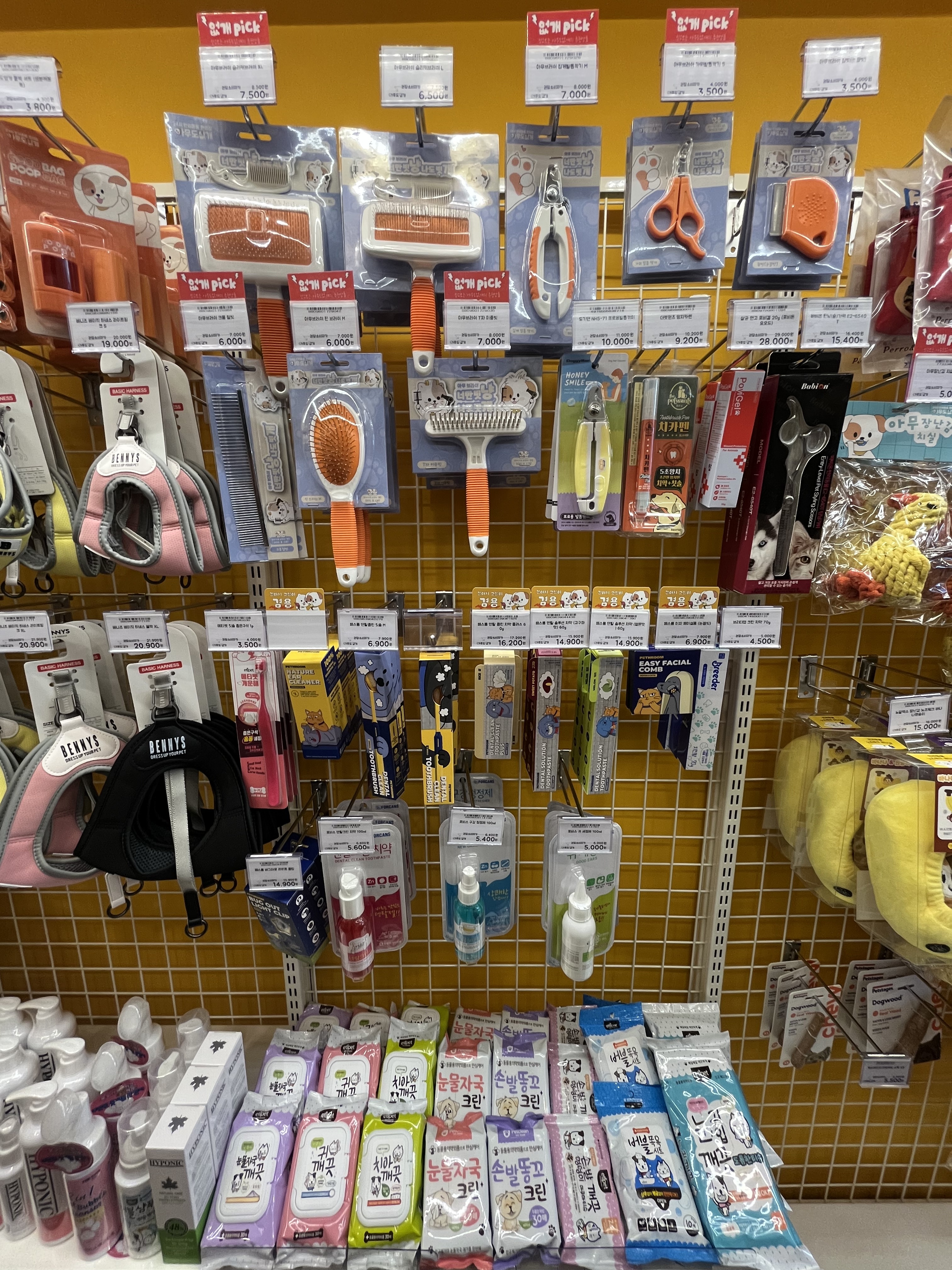 아무도없개 대표 이미지