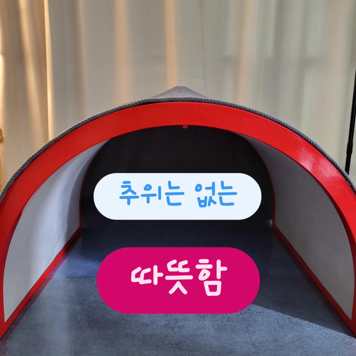 에블바디 대표 이미지