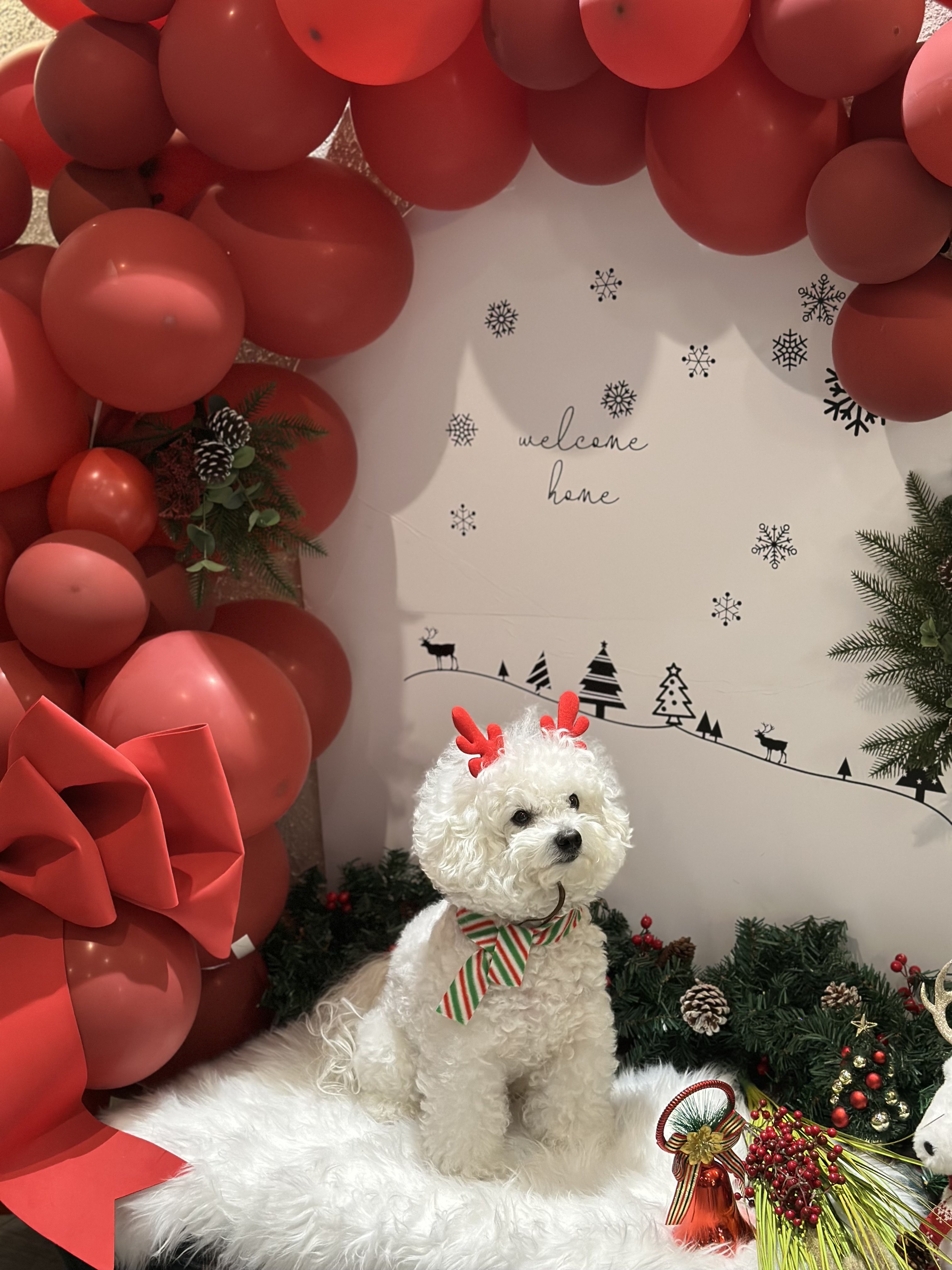 페리토 대표 이미지