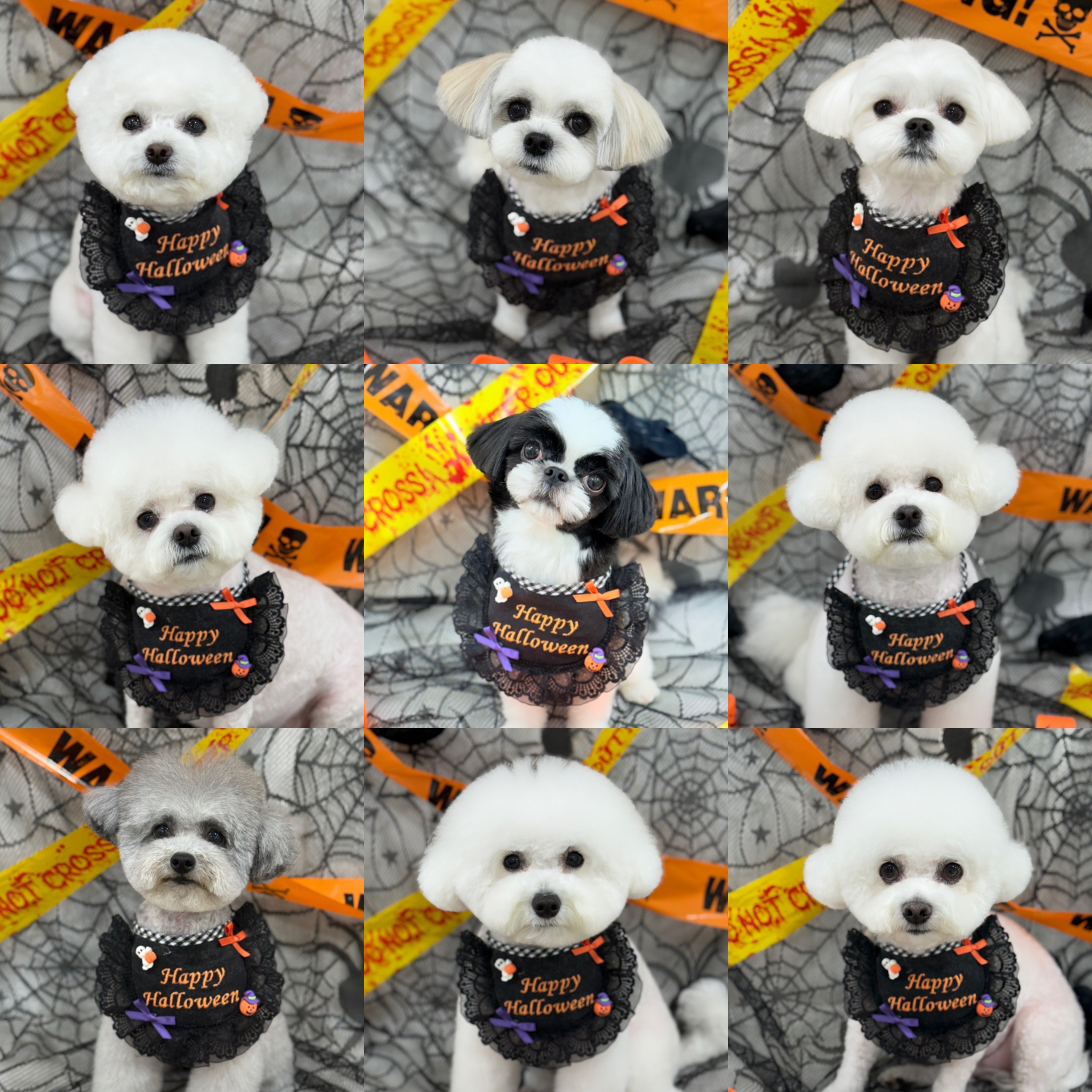 딥잉 산본점 대표 이미지