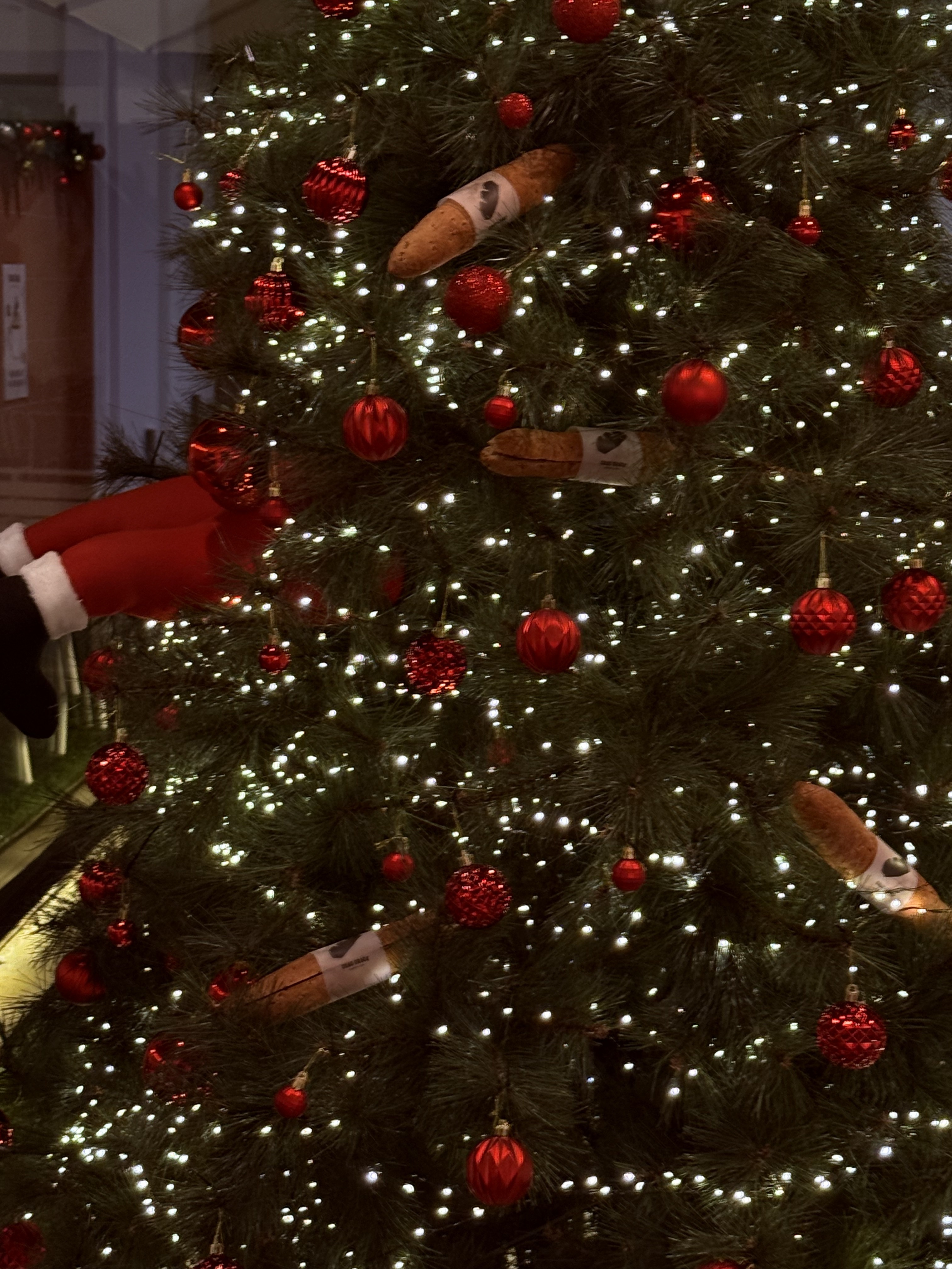 도넛드로잉 x 크랙크랙