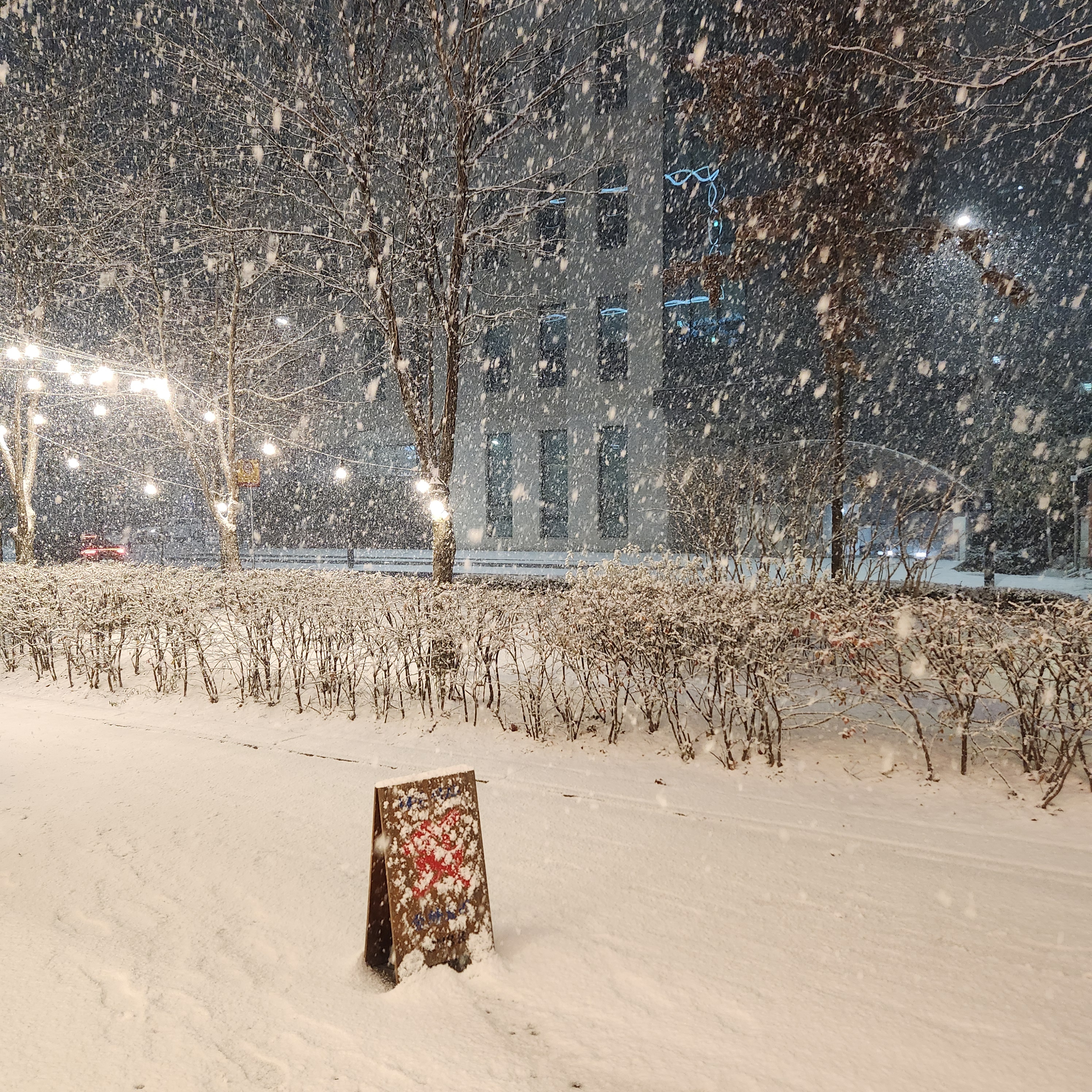 댄싱홍콩 마곡점 photo 11