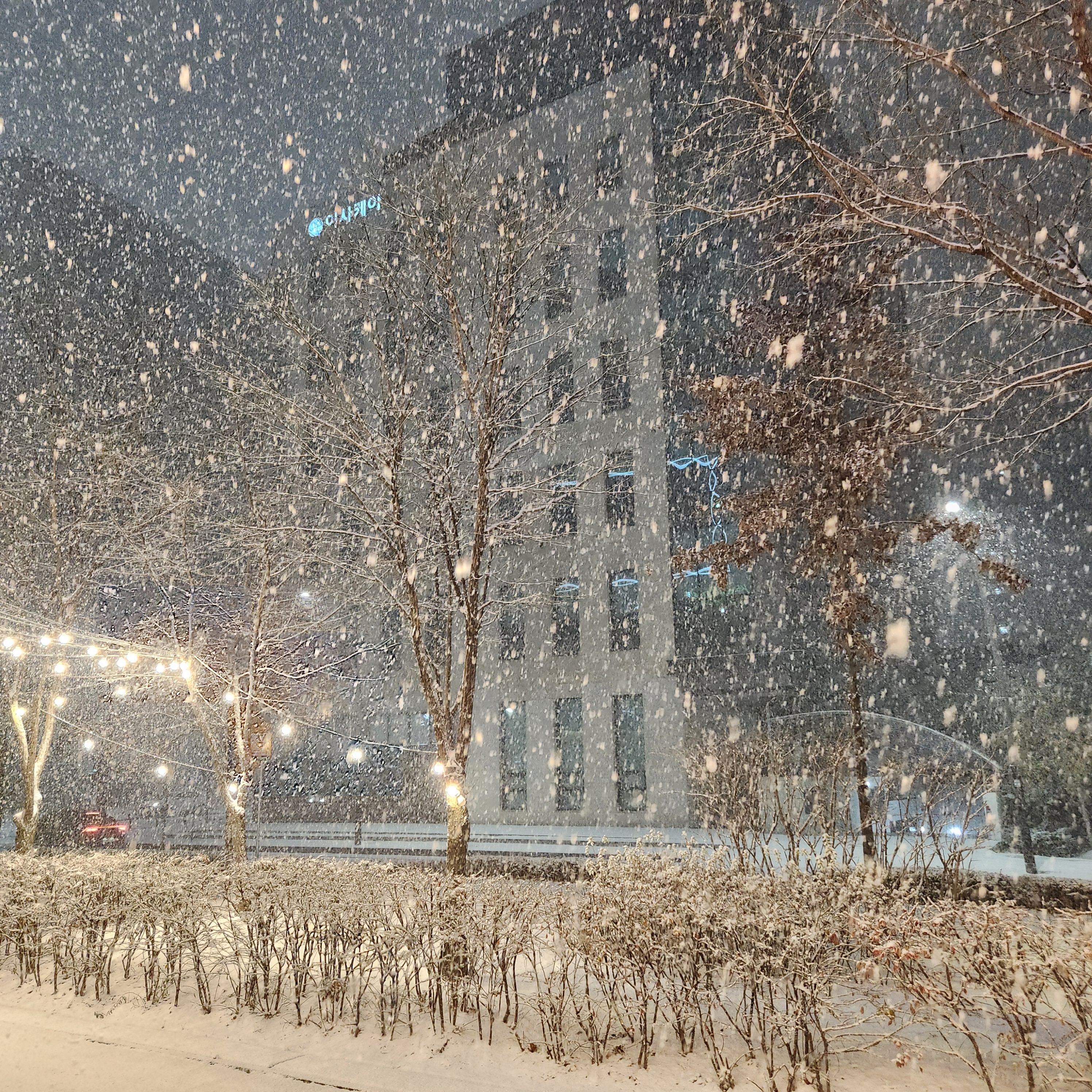 댄싱홍콩 마곡점 photo 10