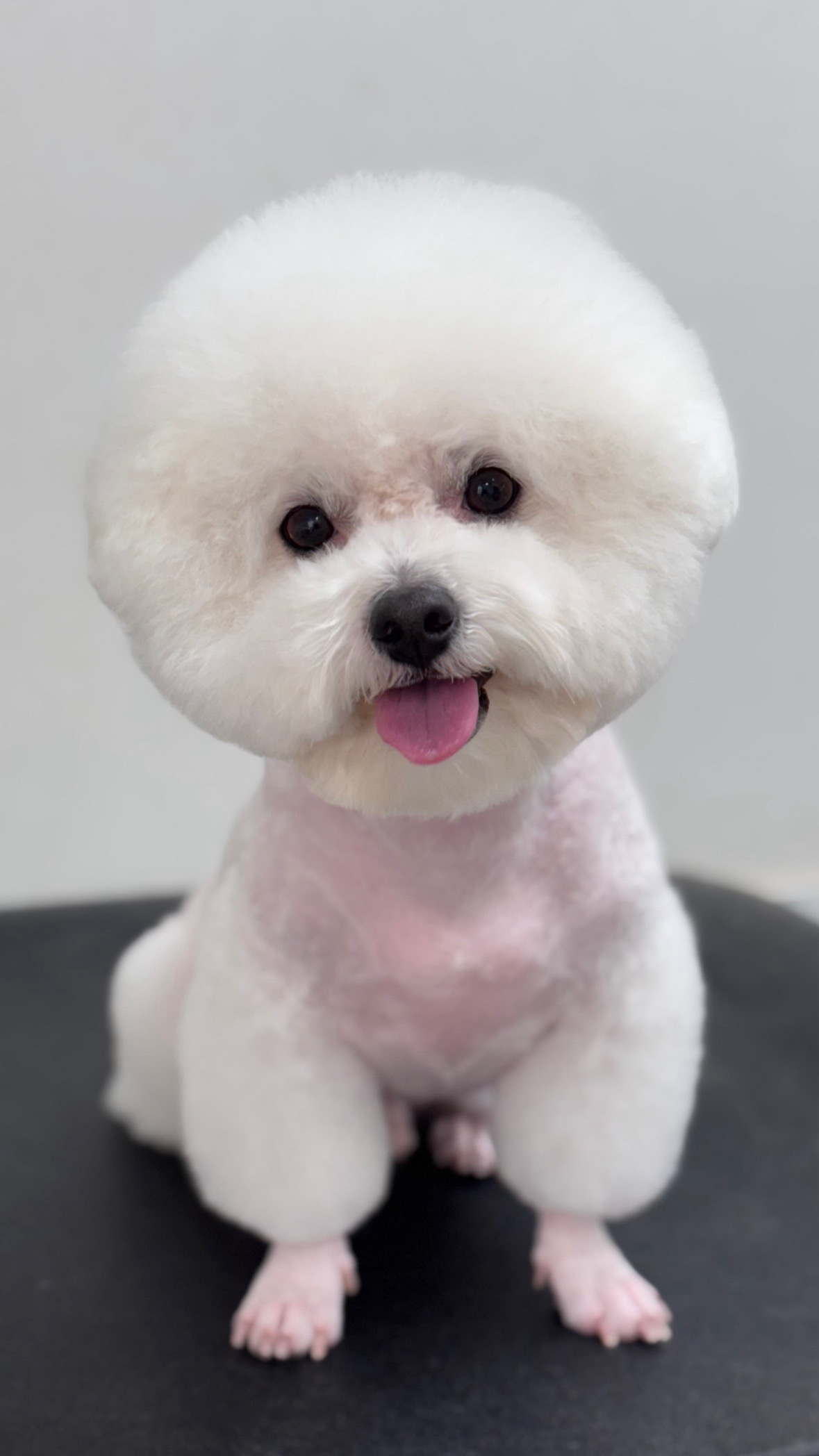 뽀도독 3