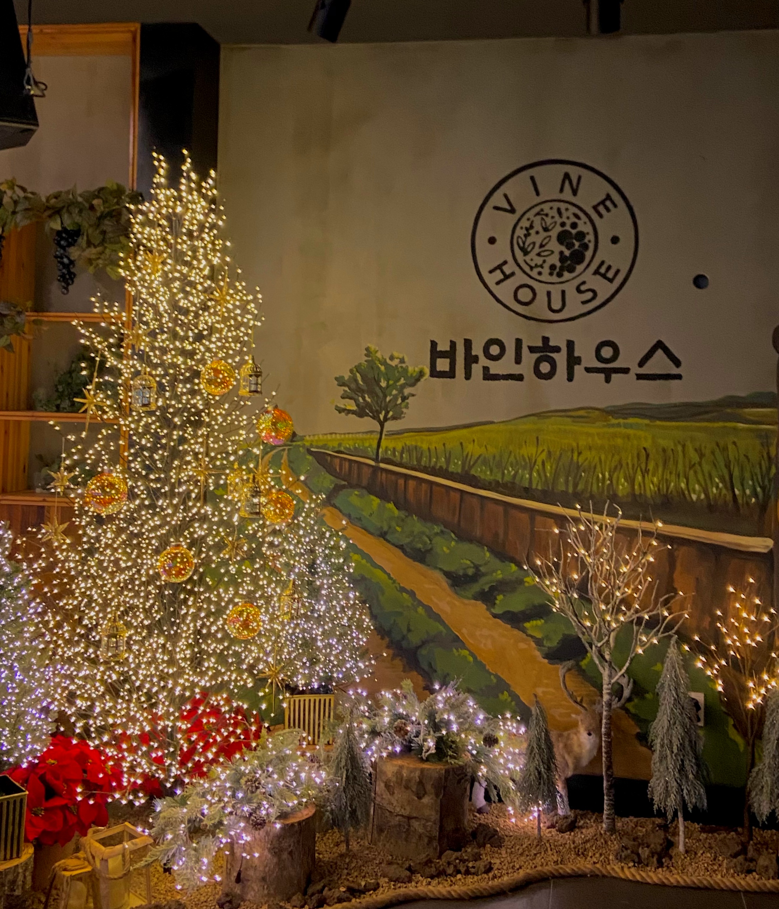 업체사진