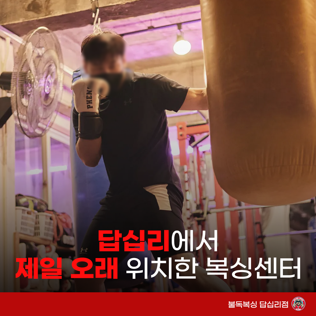 서울 동대문구 전농로 복싱체육관 불독복싱 내부 모습 2