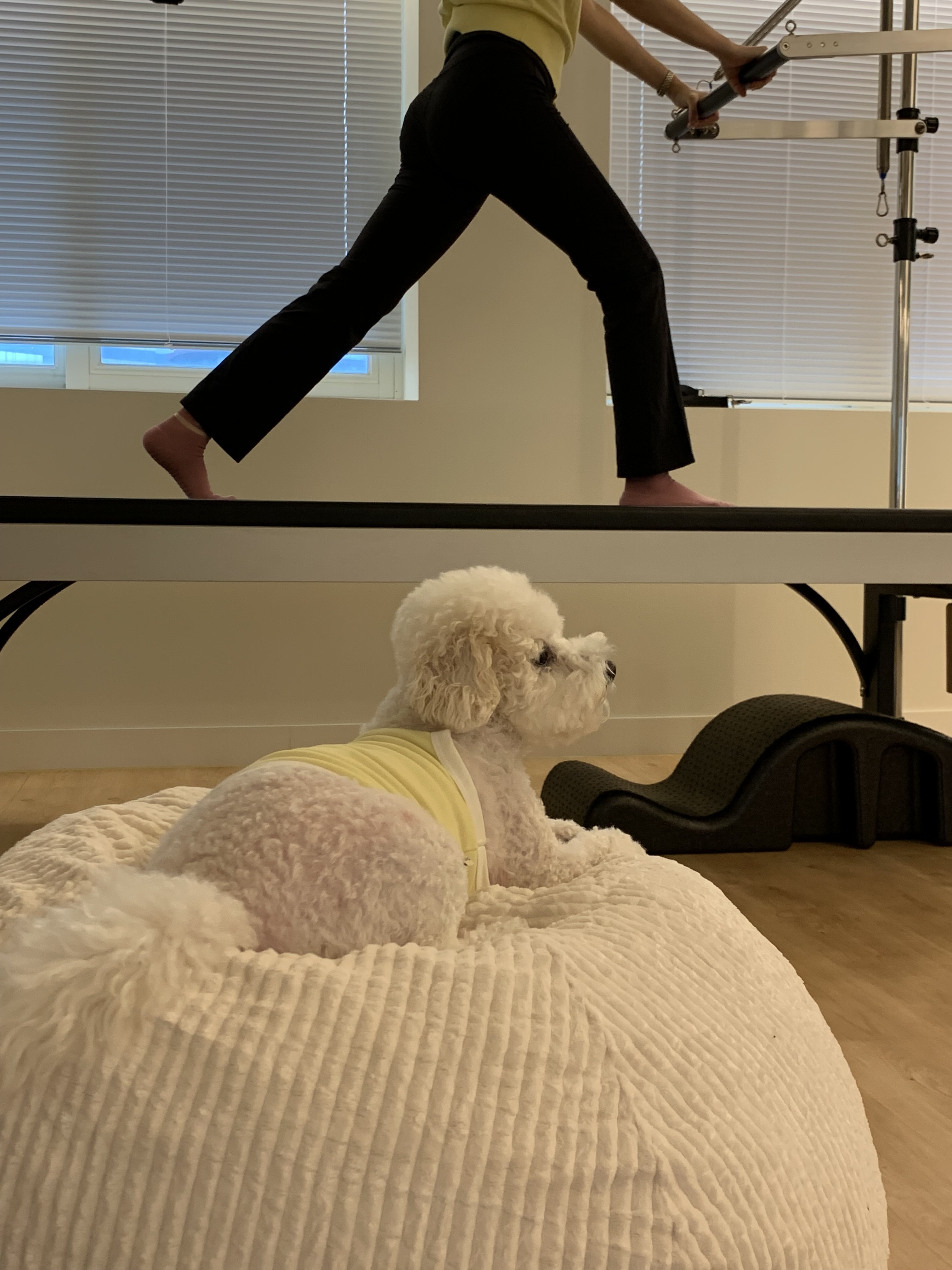 코아필라테스 대표 이미지