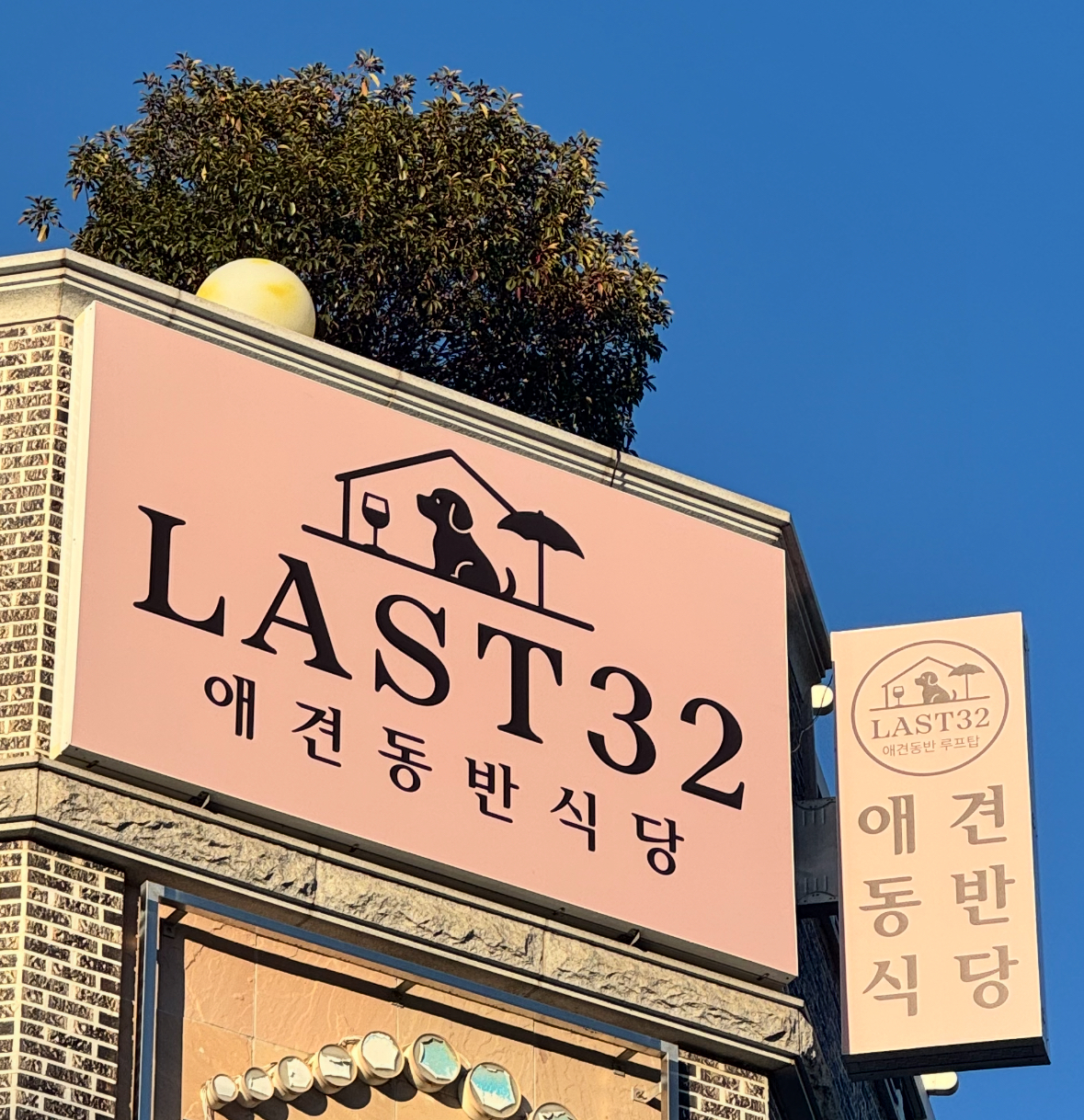 라스트32 6