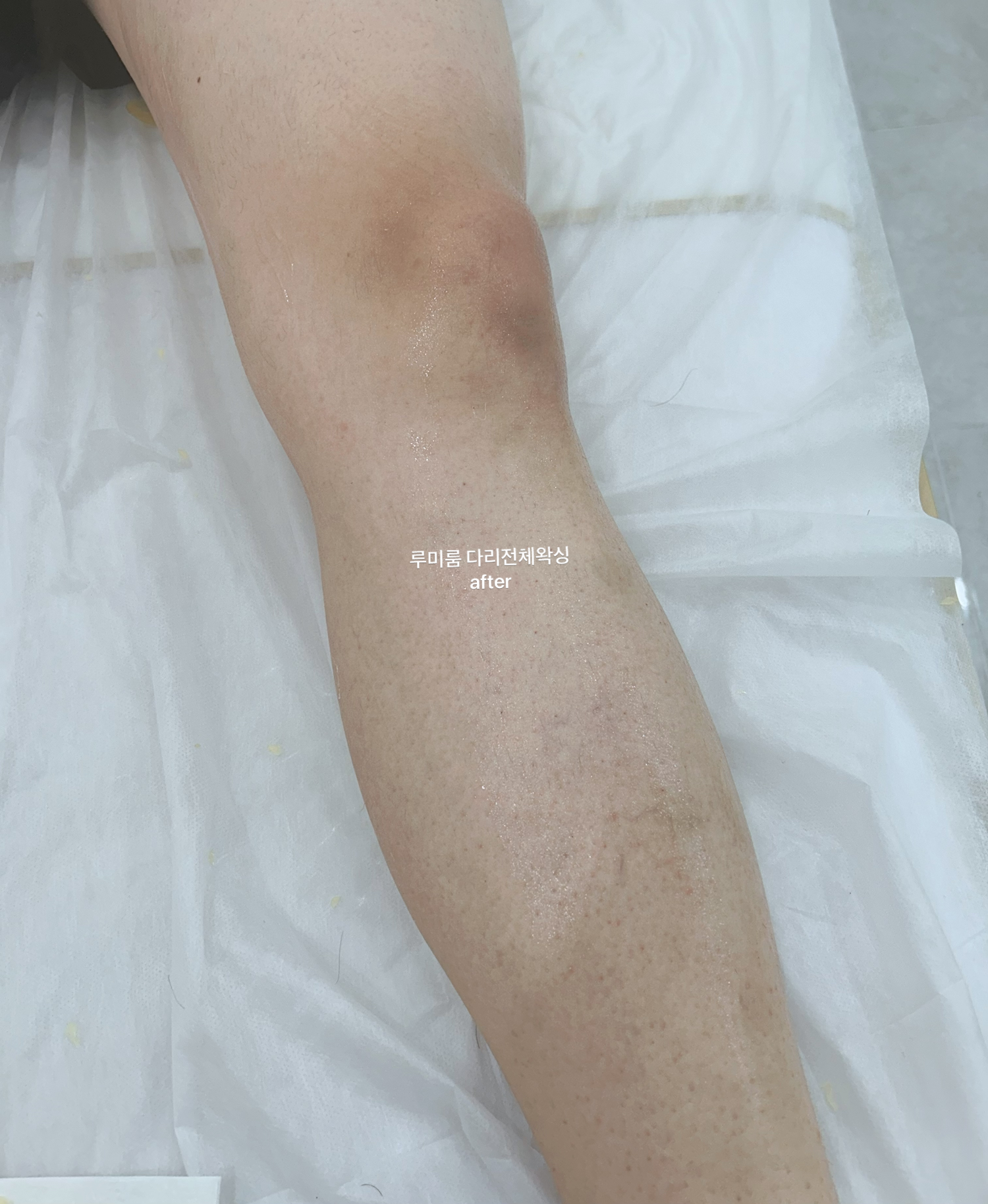 루미룸 대표 이미지