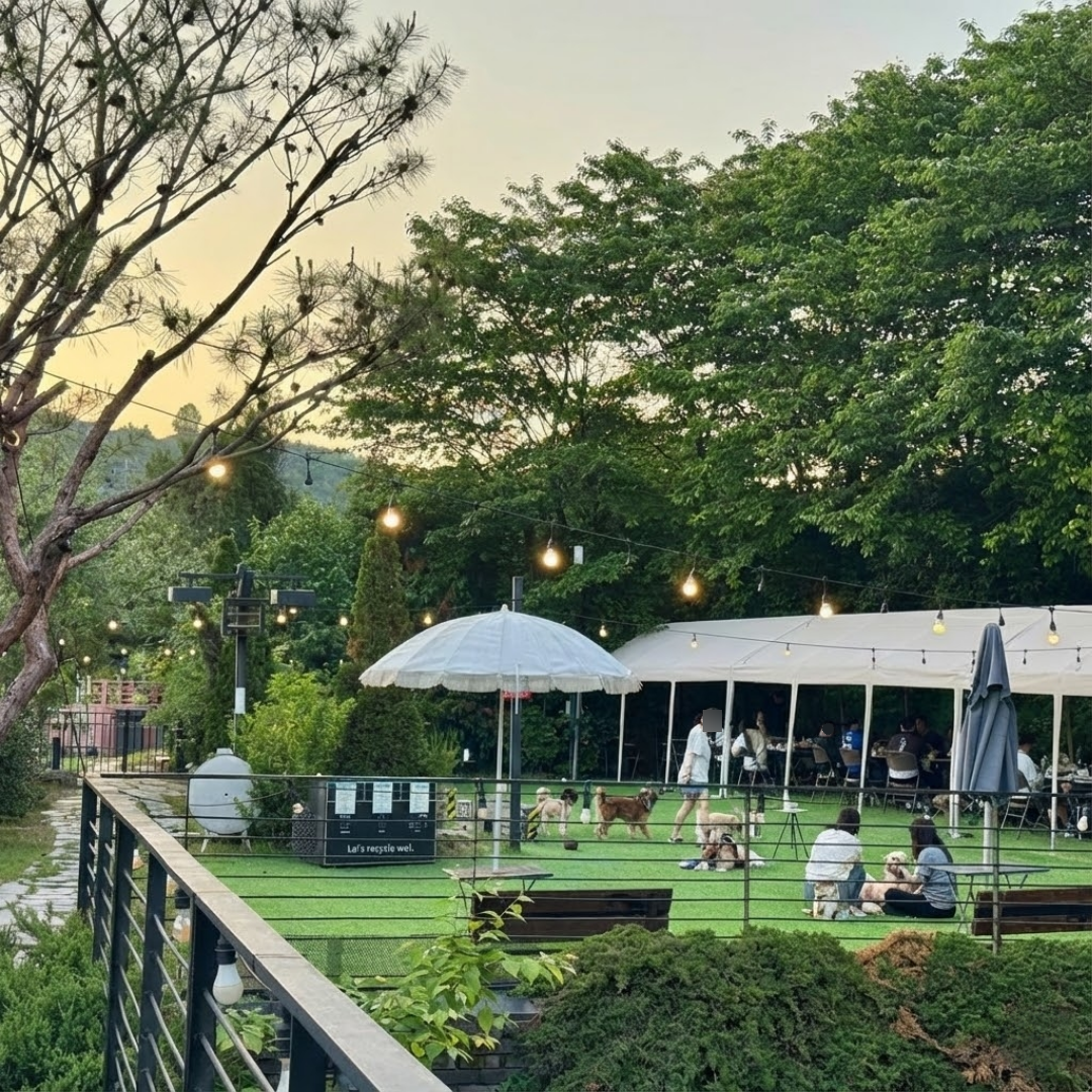 블랙피그 시흥 애견카페 대표 이미지