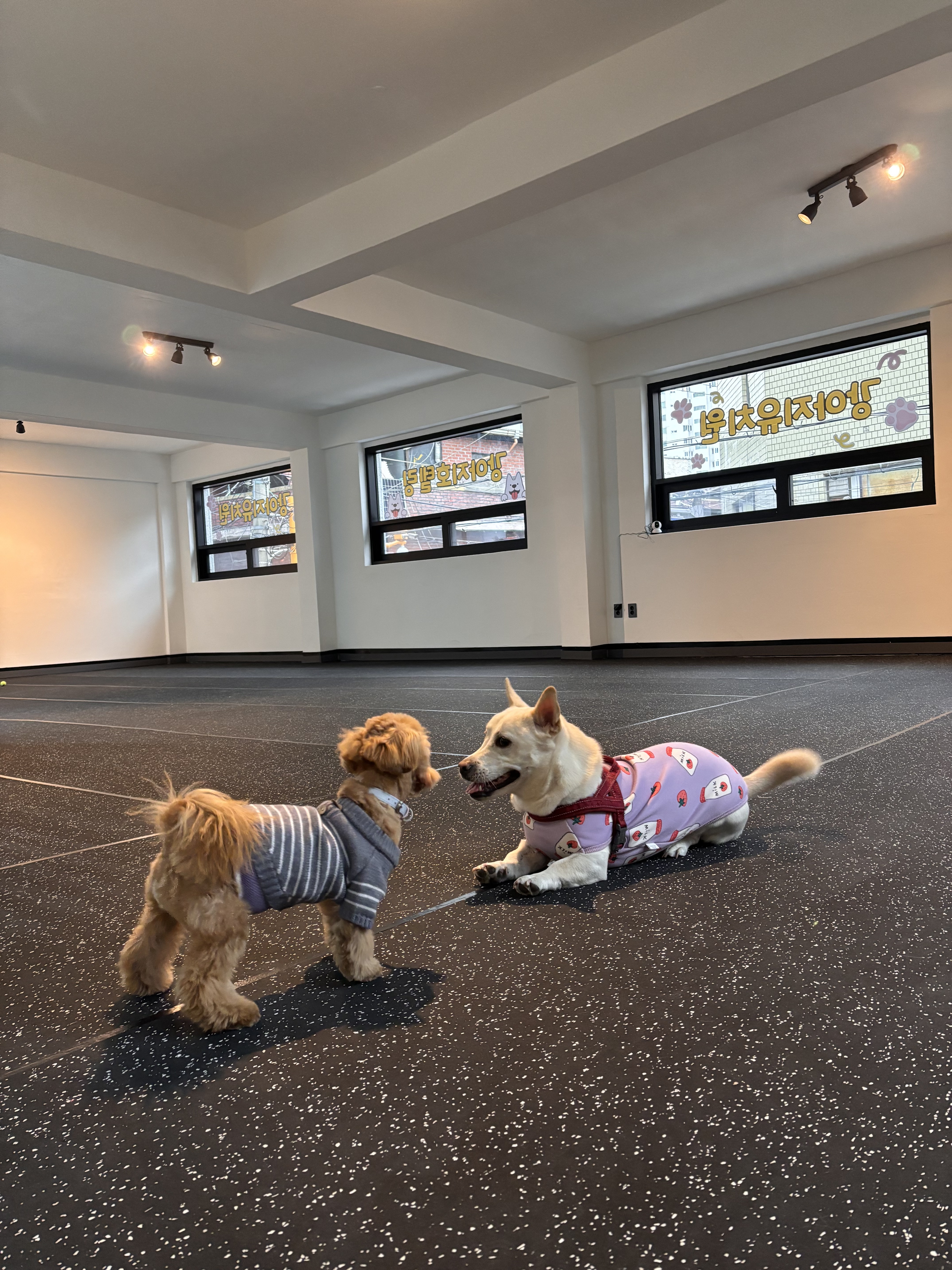 놀멍뭐하니 대표 이미지